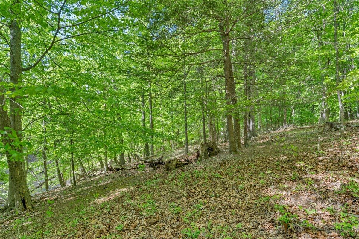 0 Somerset Cove RD - Photo 32
