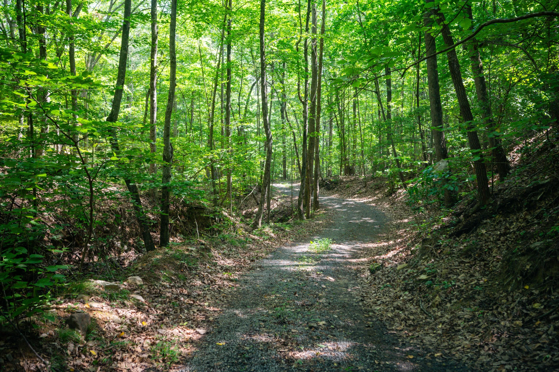 0 Adventure Mountain RD - Photo 9