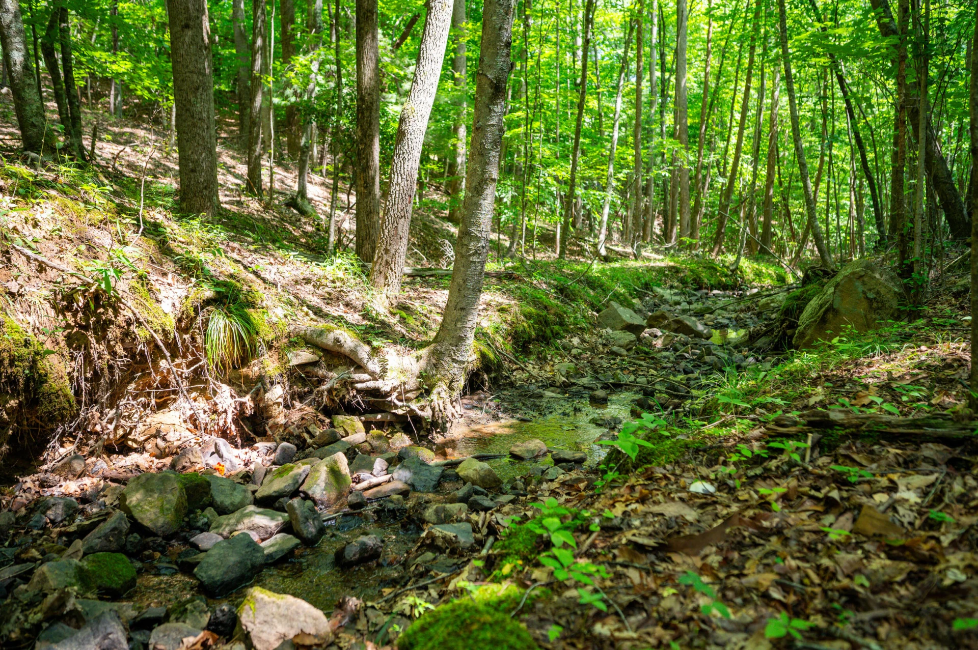 0 Adventure Mountain RD - Photo 10