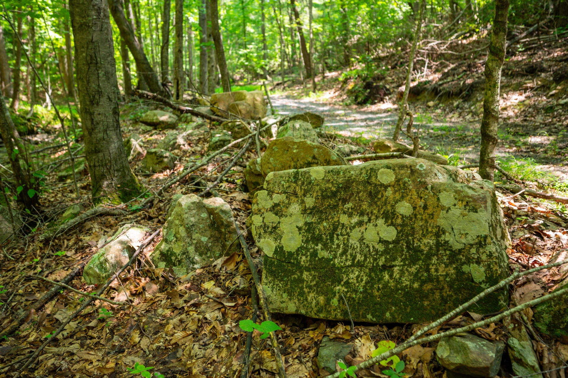 0 Adventure Mountain RD - Photo 11