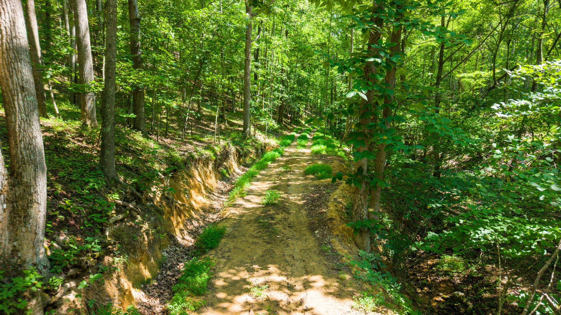 0 Adventure Mountain RD - Photo 12