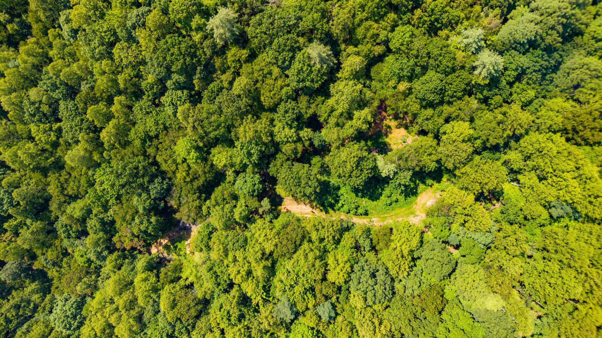 0 Adventure Mountain RD - Photo 13