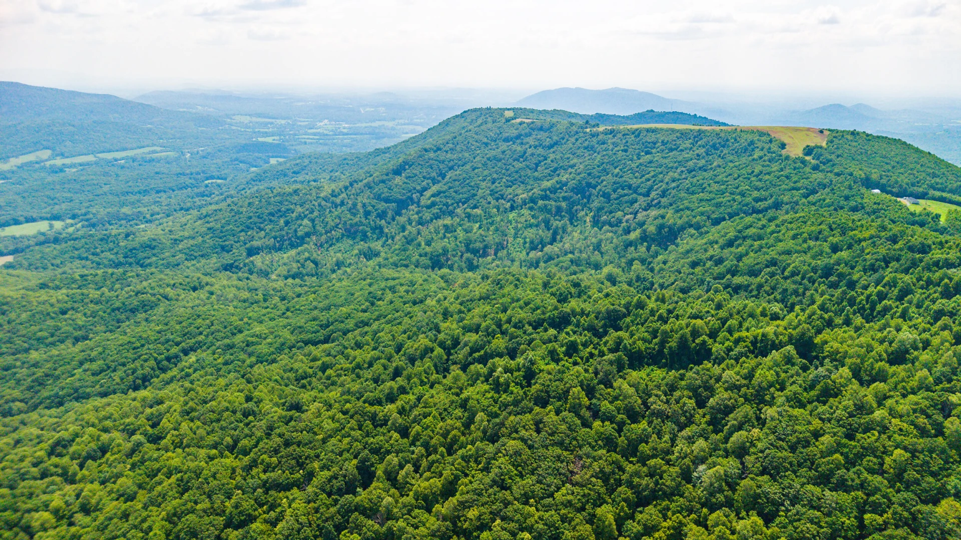 0 Adventure Mountain RD - Photo 14