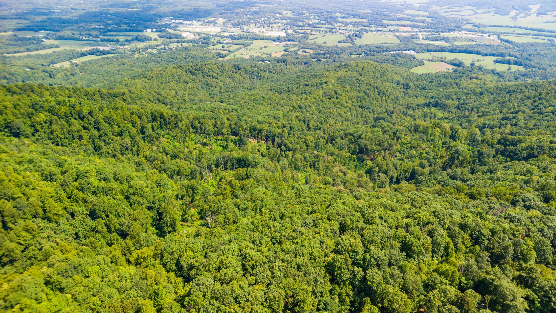 0 Adventure Mountain RD - Photo 22