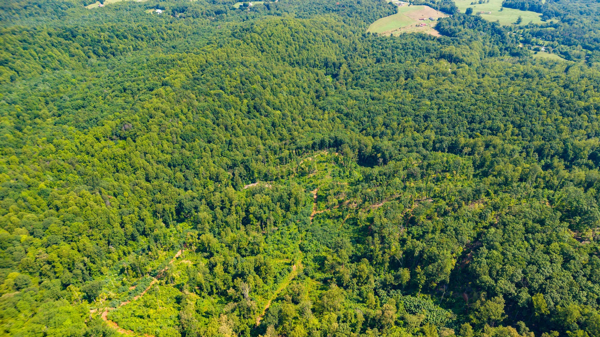 0 Adventure Mountain RD - Photo 24