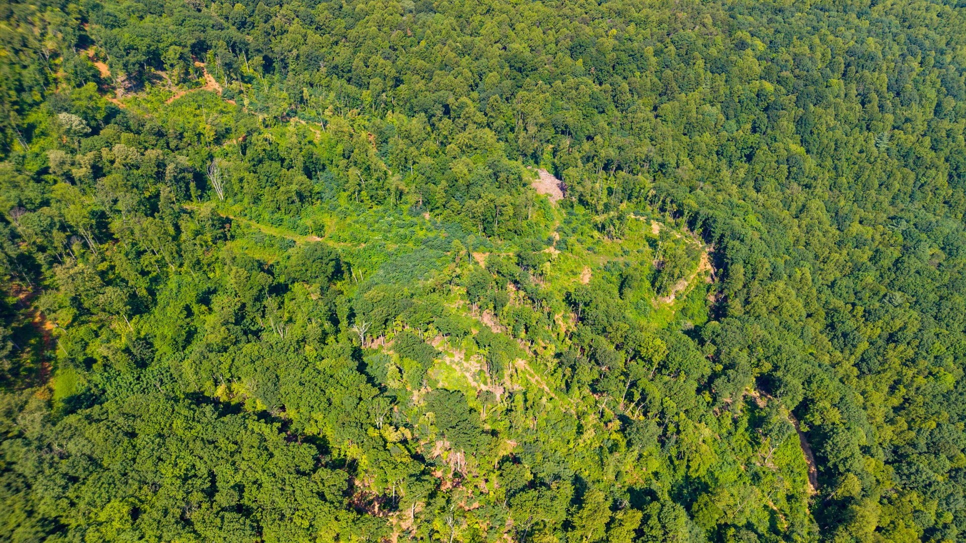 0 Adventure Mountain RD - Photo 28