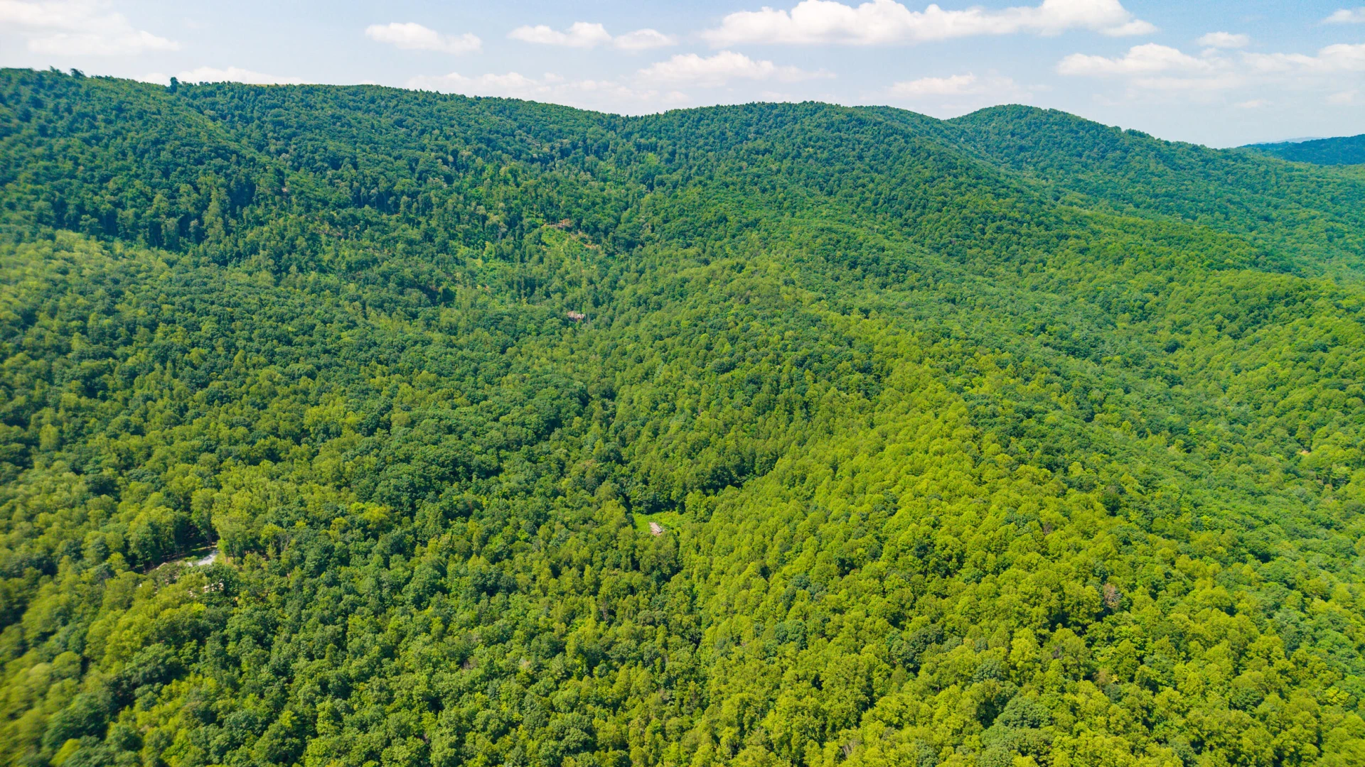 0 Adventure Mountain RD - Photo 31