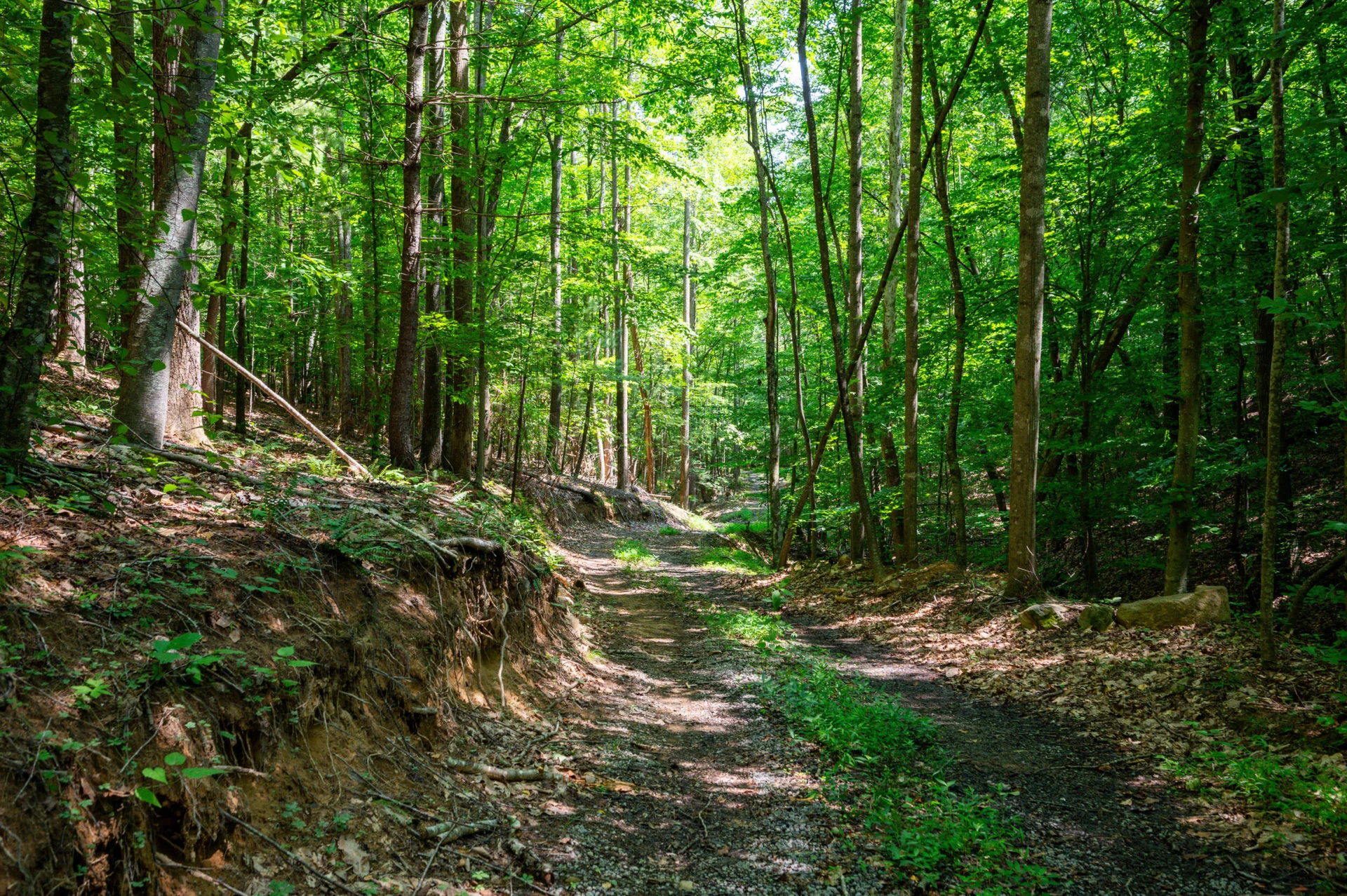 0 Adventure Mountain RD - Photo 40