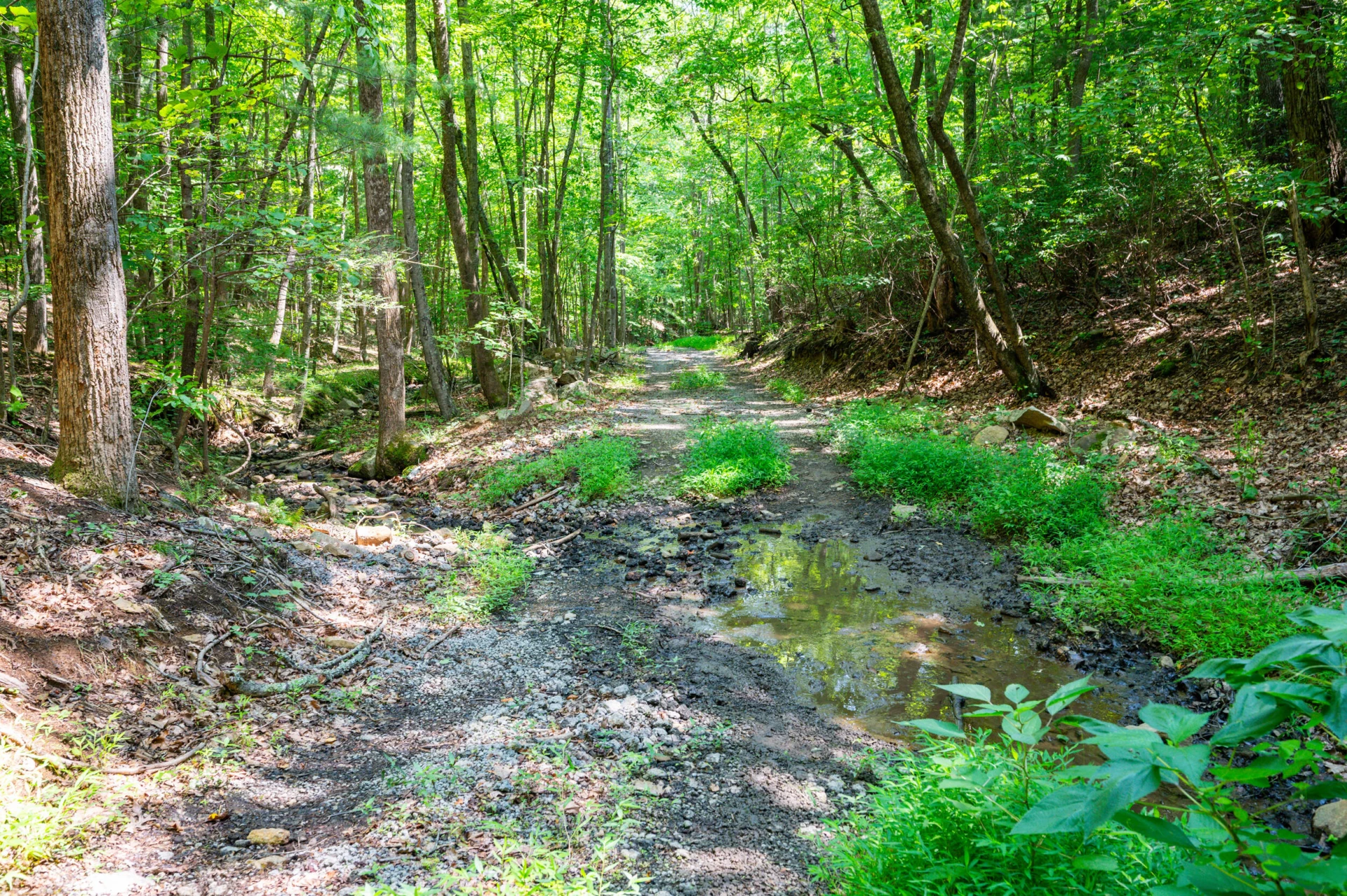 0 Adventure Mountain RD - Photo 41