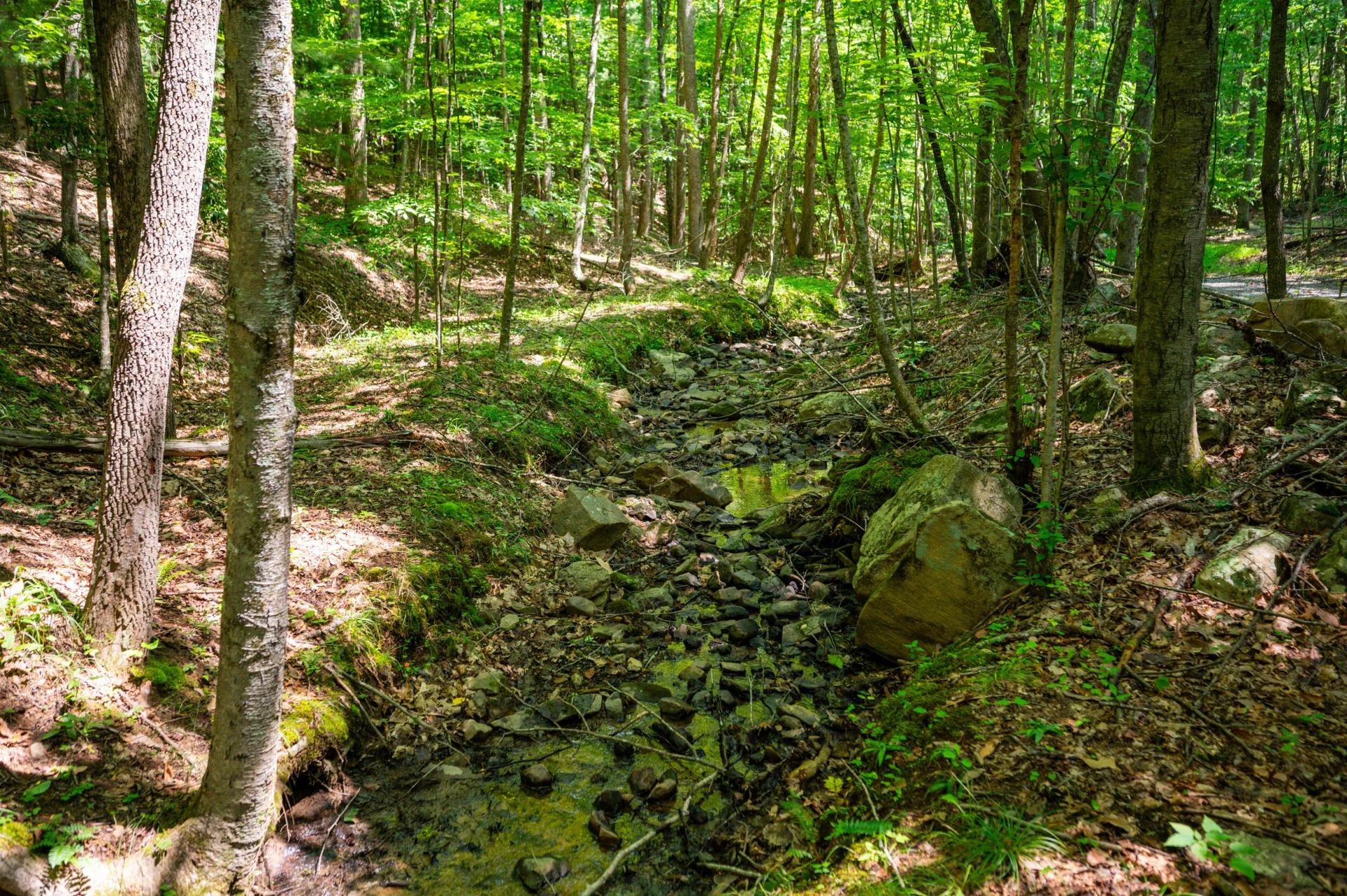 0 Adventure Mountain RD - Photo 42