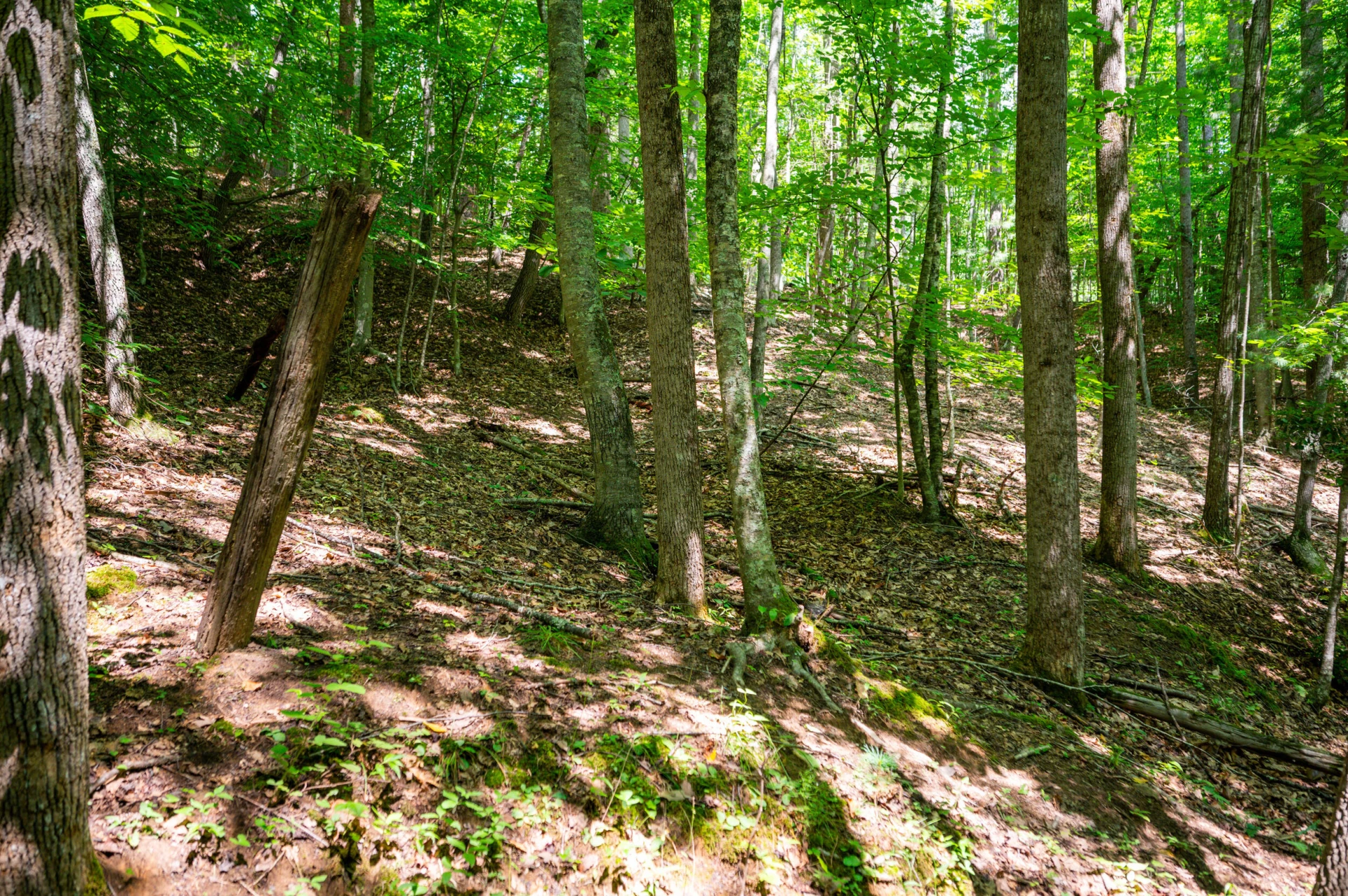 0 Adventure Mountain RD - Photo 43