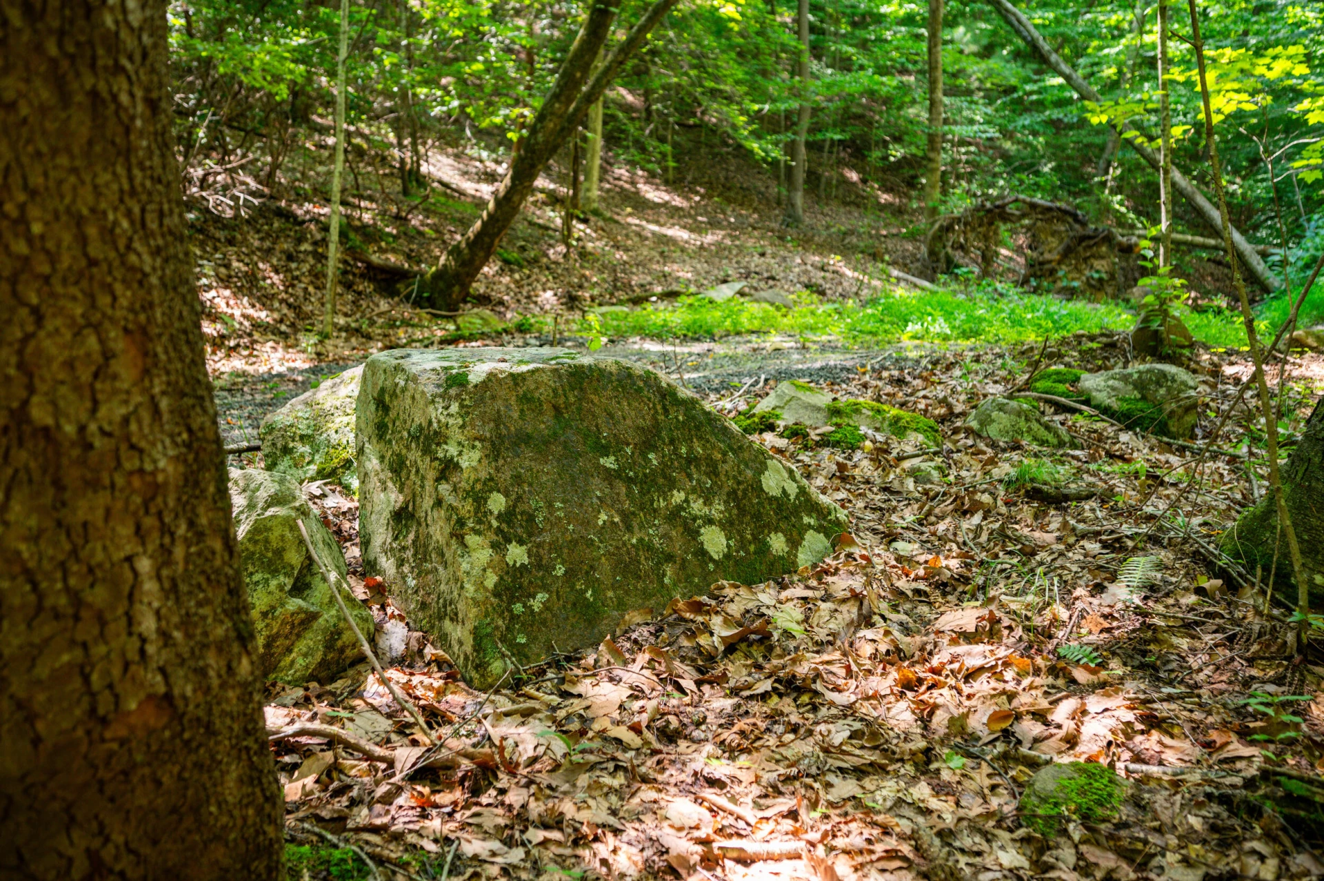 0 Adventure Mountain RD - Photo 44