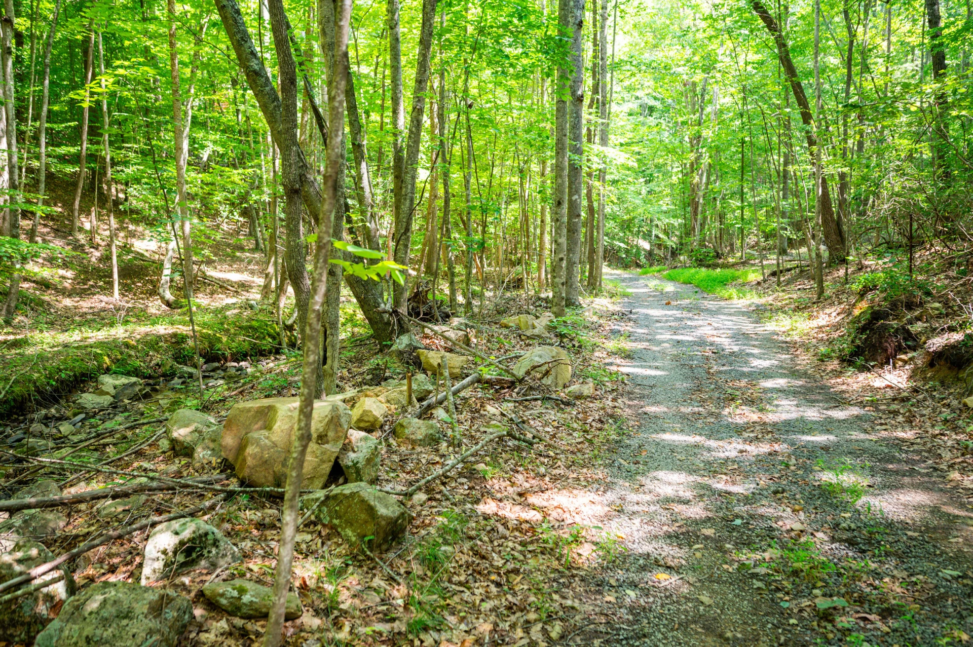 0 Adventure Mountain RD - Photo 45