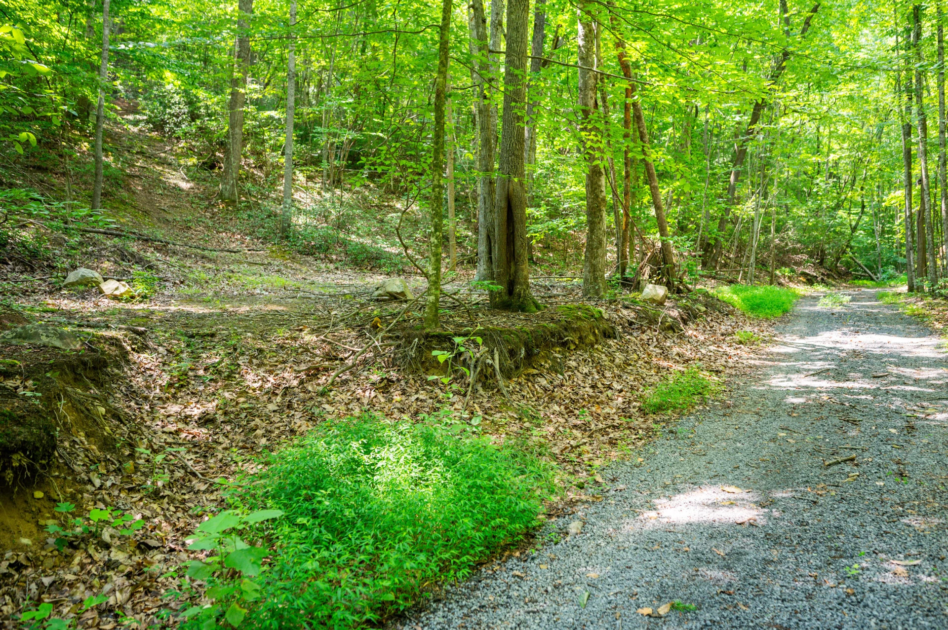 0 Adventure Mountain RD - Photo 46