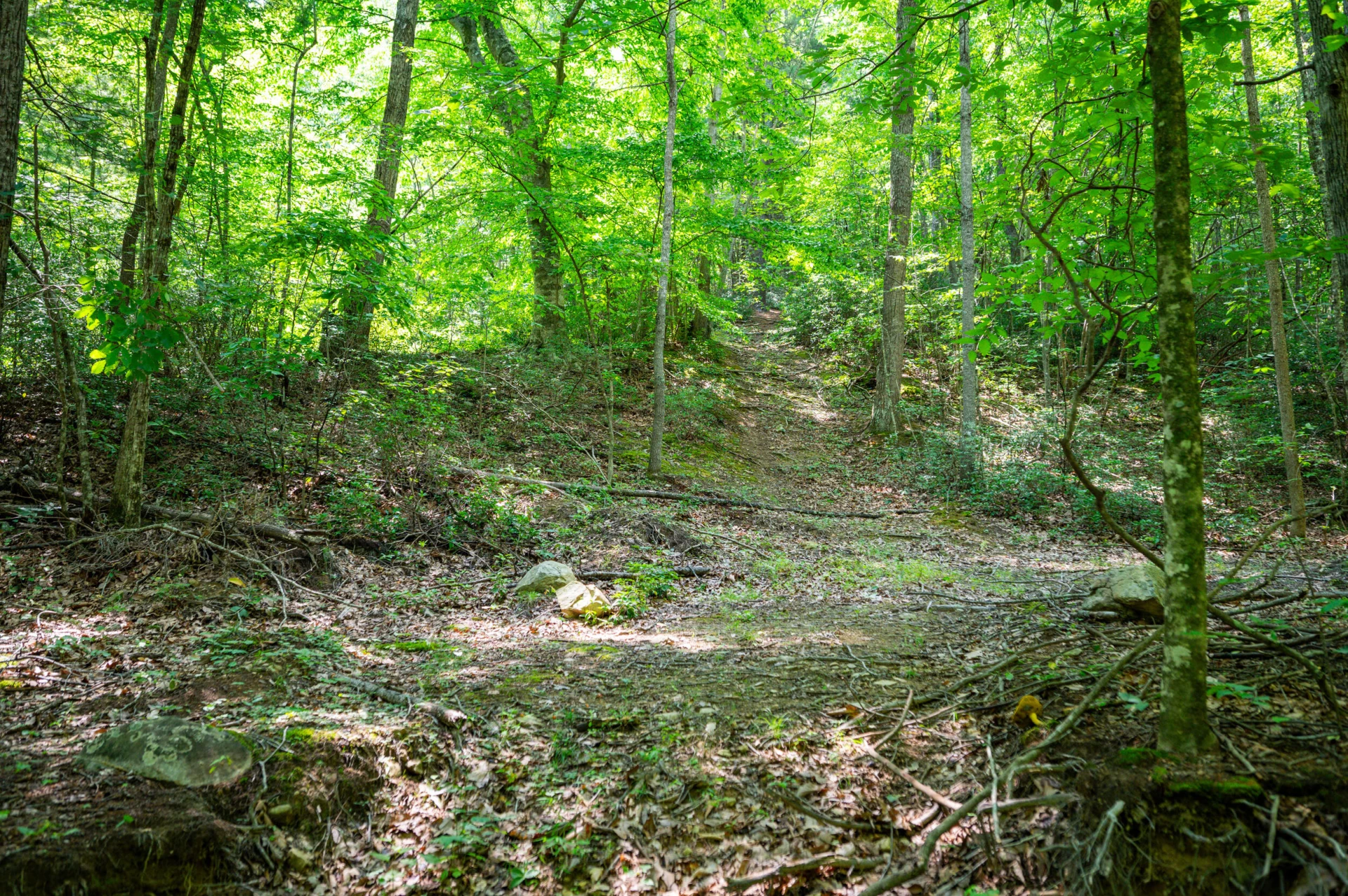 0 Adventure Mountain RD - Photo 47