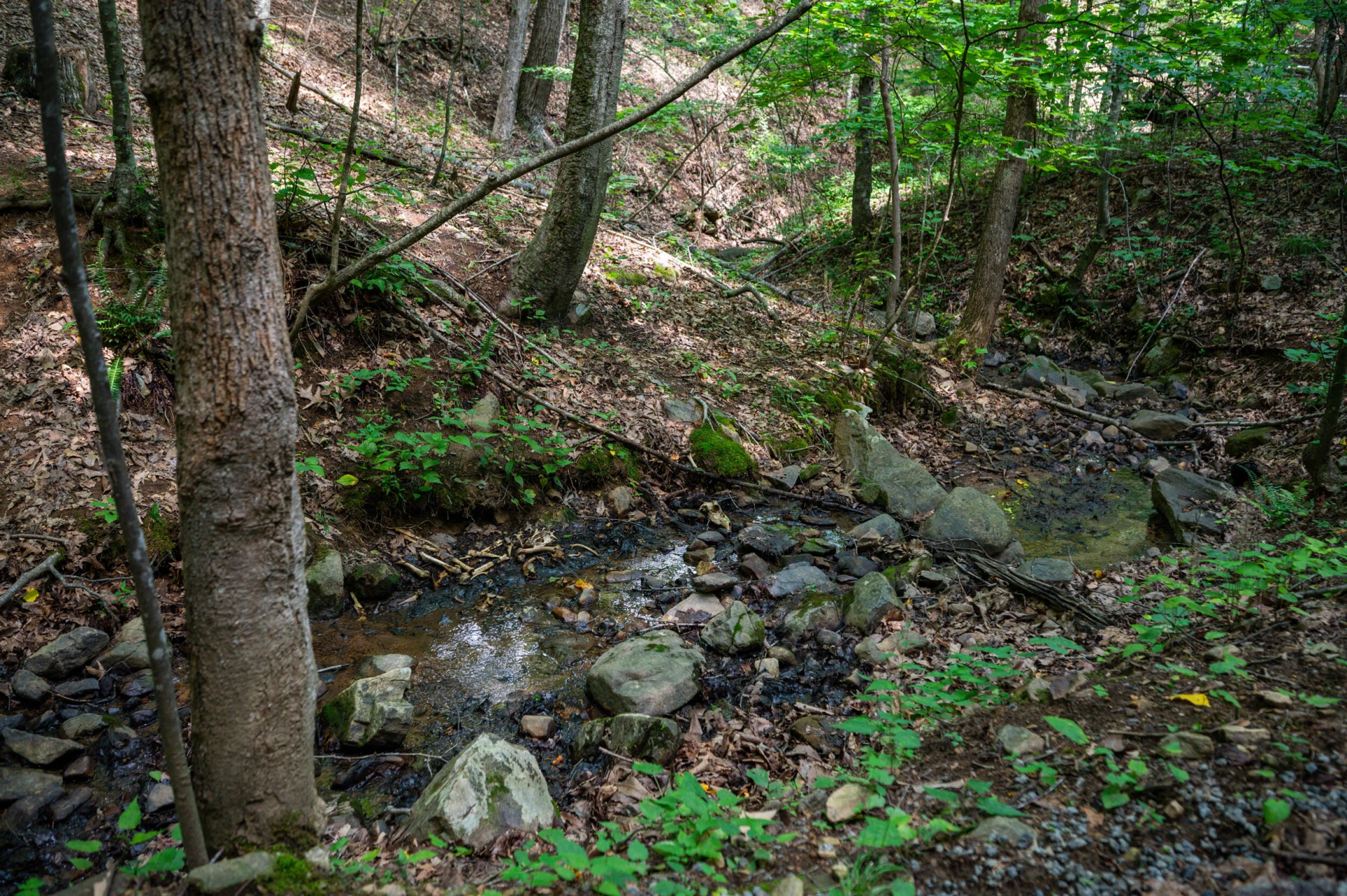 0 Adventure Mountain RD - Photo 48