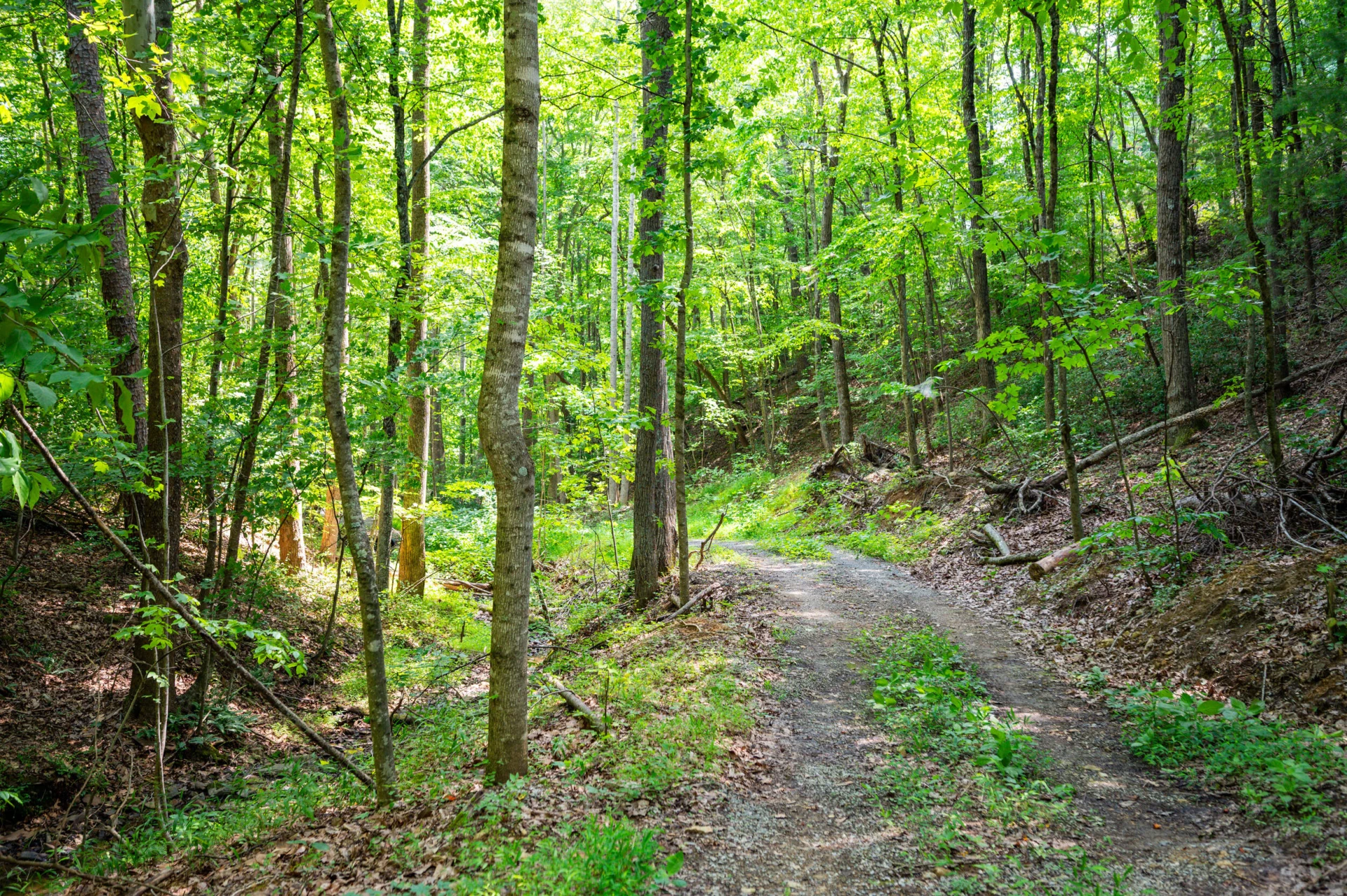 0 Adventure Mountain RD - Photo 49