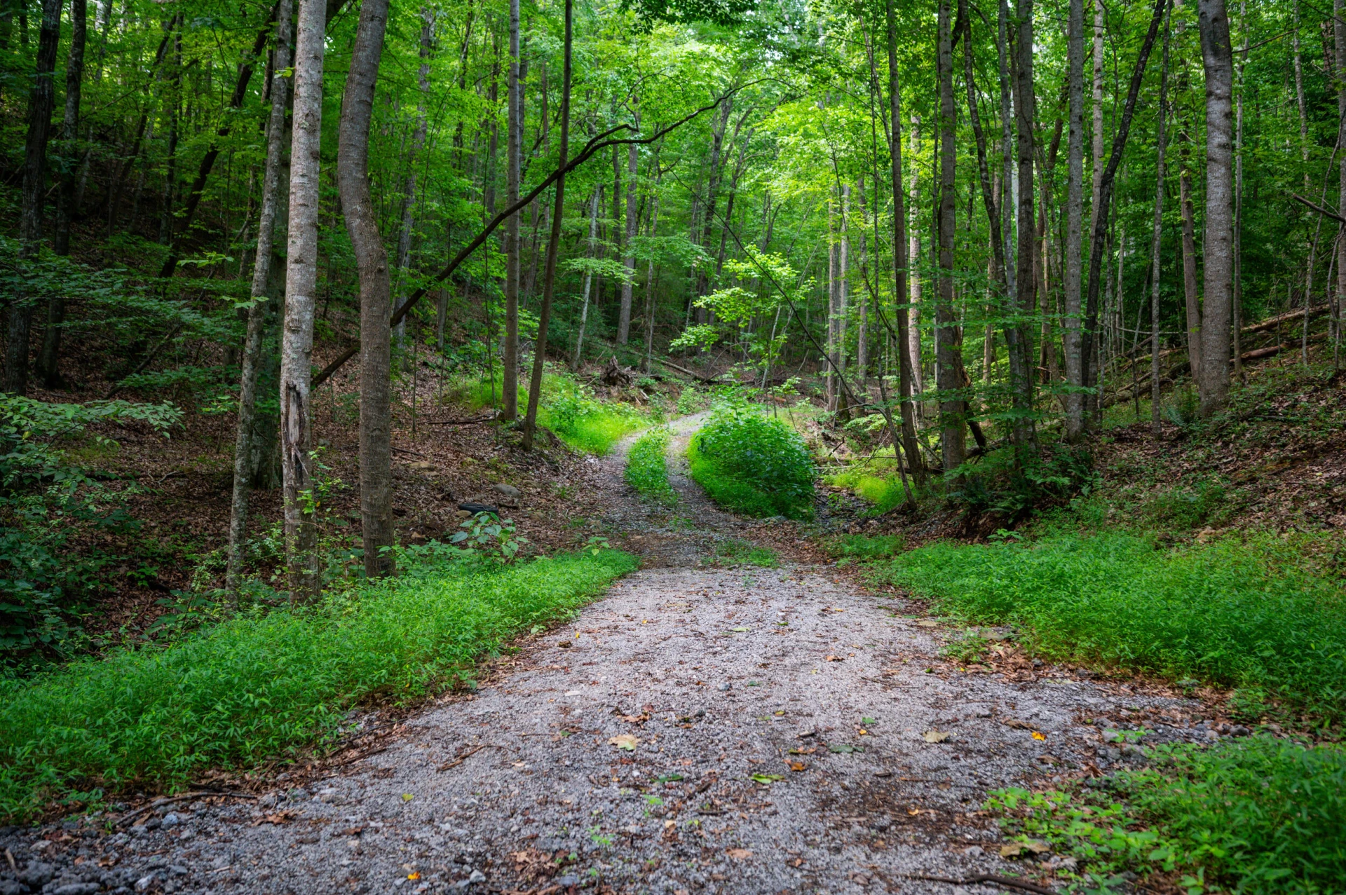 0 Adventure Mountain RD - Photo 50