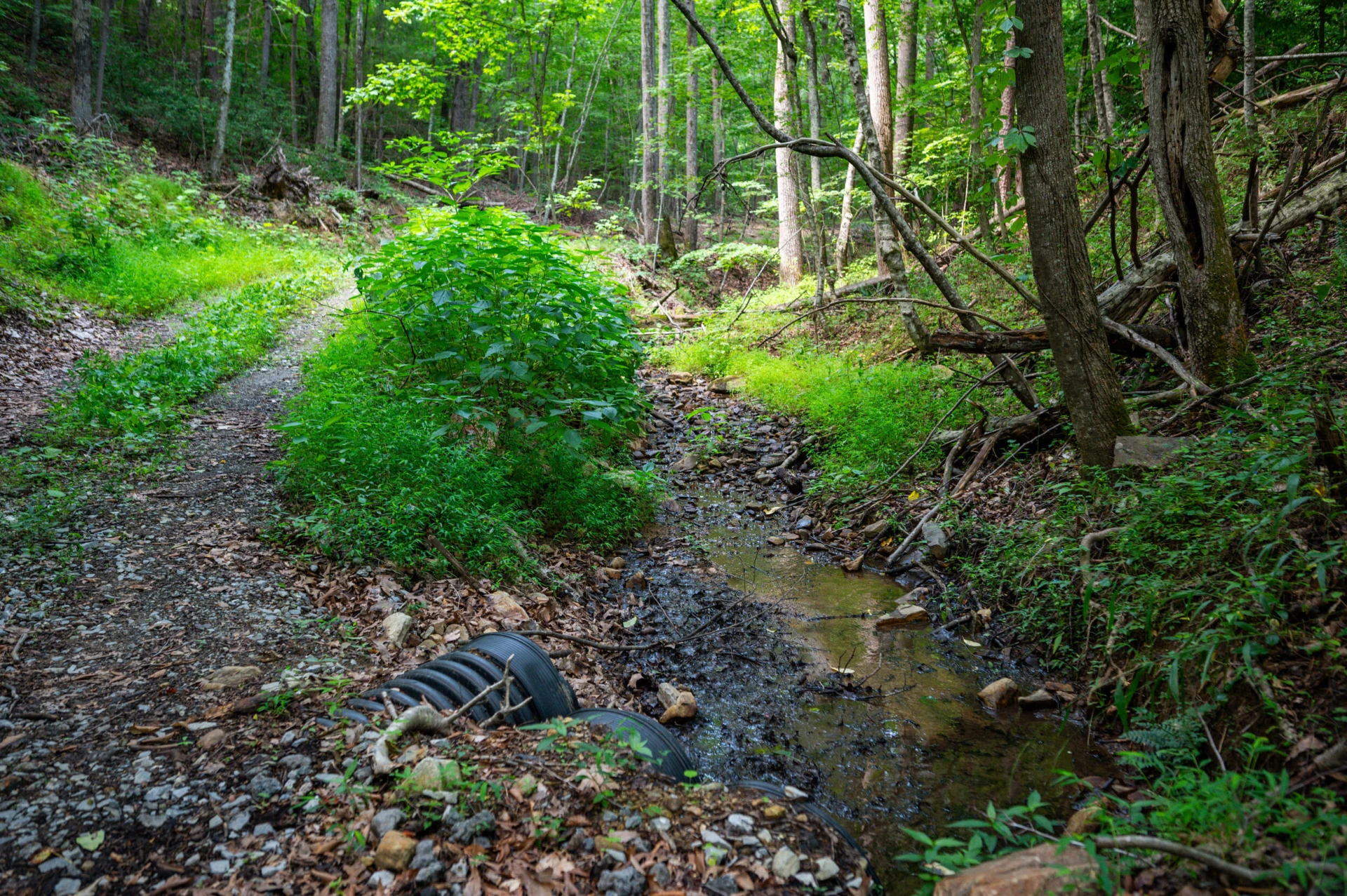 0 Adventure Mountain RD - Photo 51