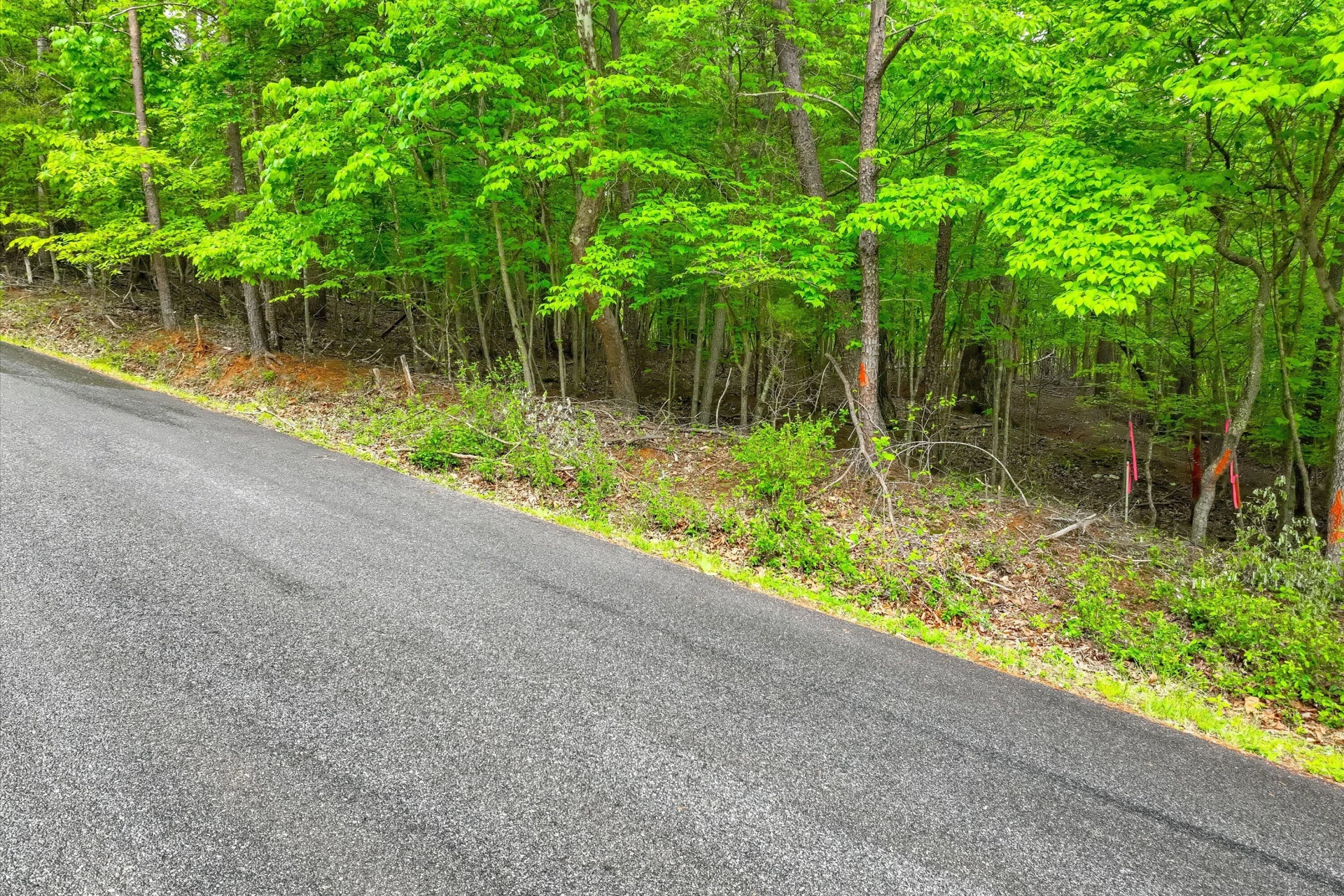 Lot 60 Old Barn RD - Photo 10