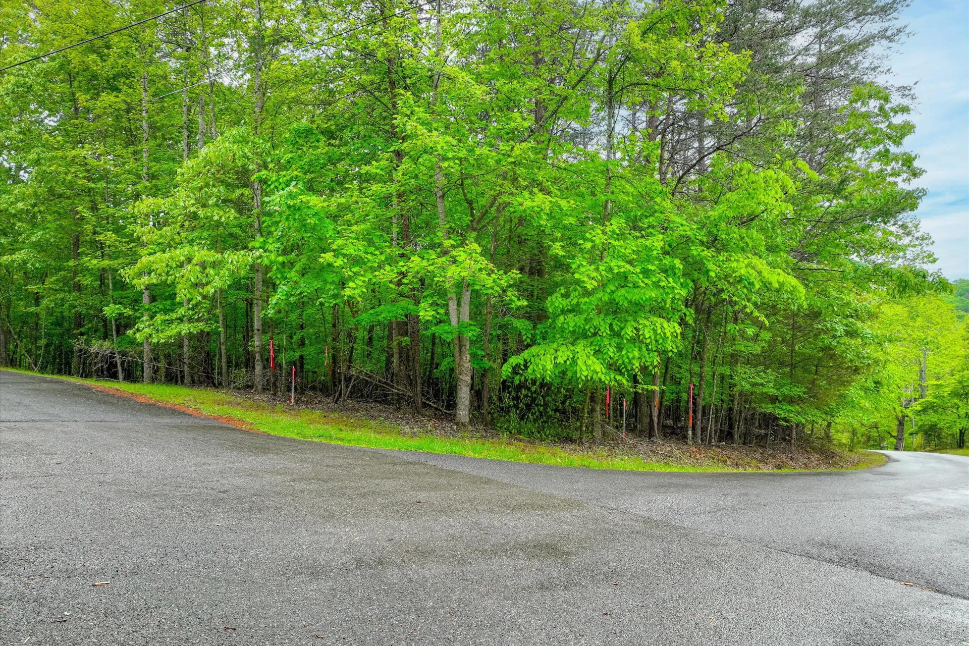Lot 60 Old Barn RD - Photo 11