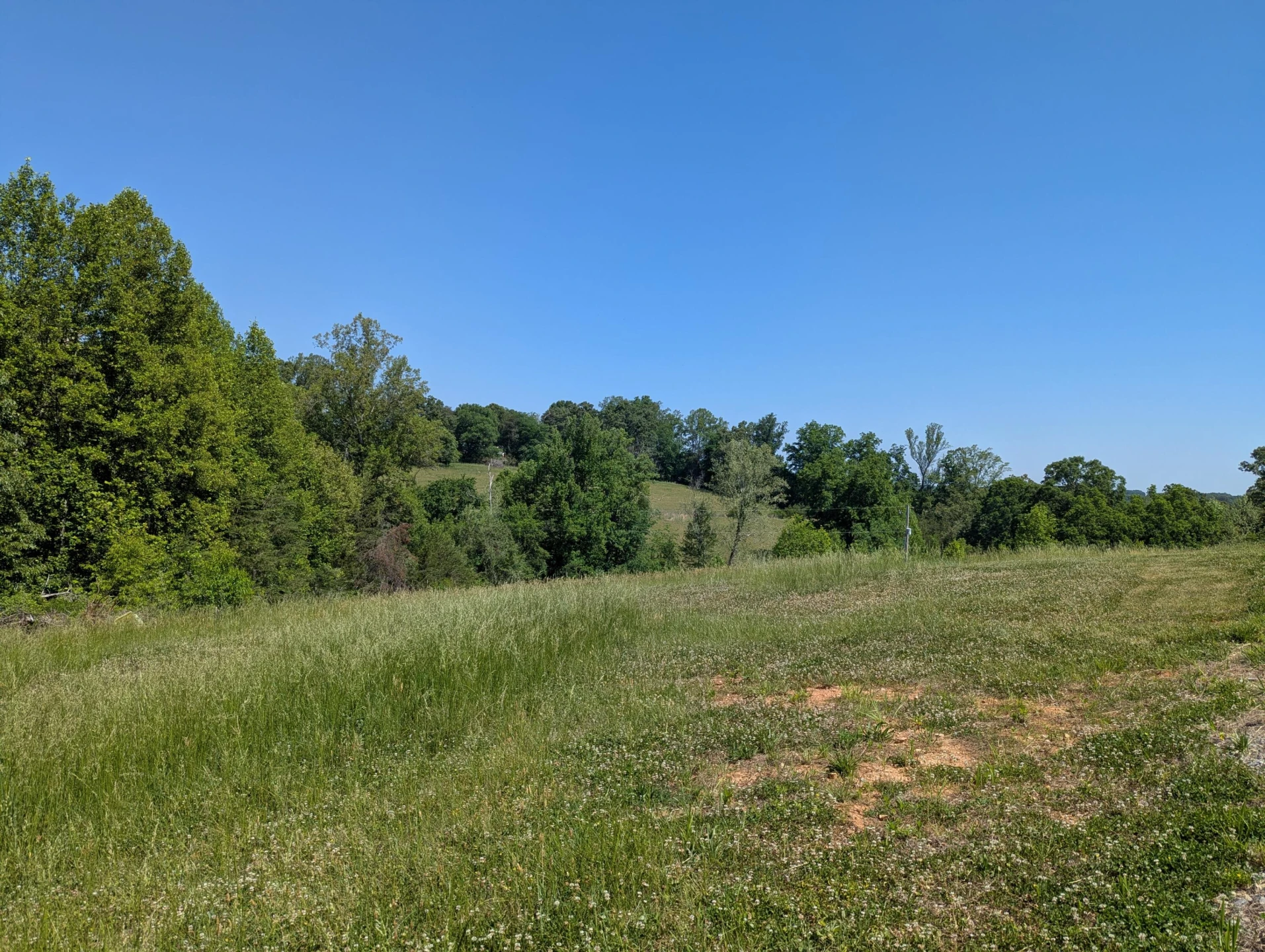 Tract A Brooks Mill RD - Photo 11