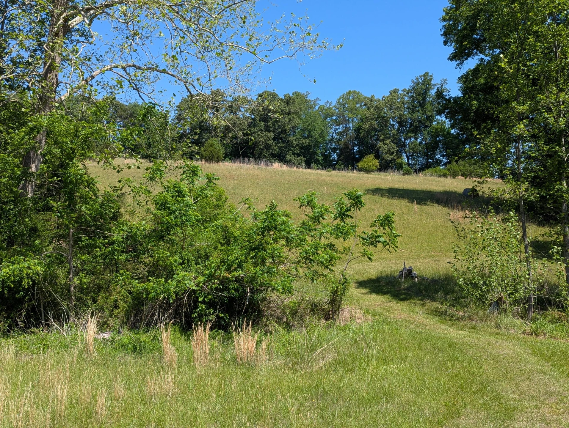 Tract A Brooks Mill RD - Photo 13