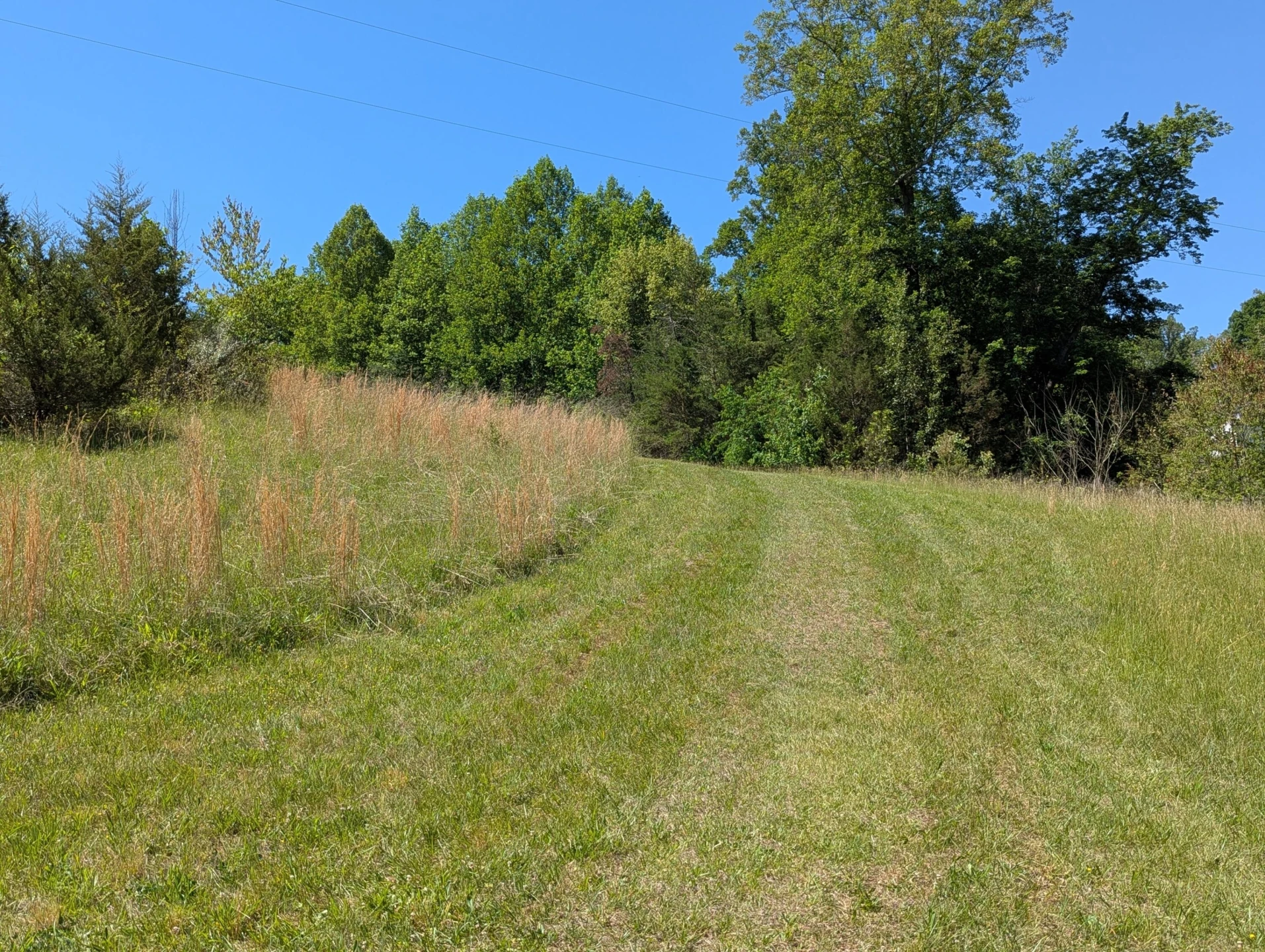 Tract A Brooks Mill RD - Photo 14