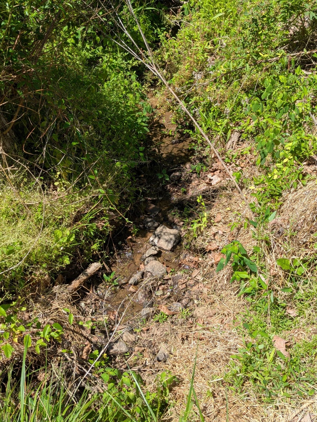 Tract A Brooks Mill RD - Photo 15