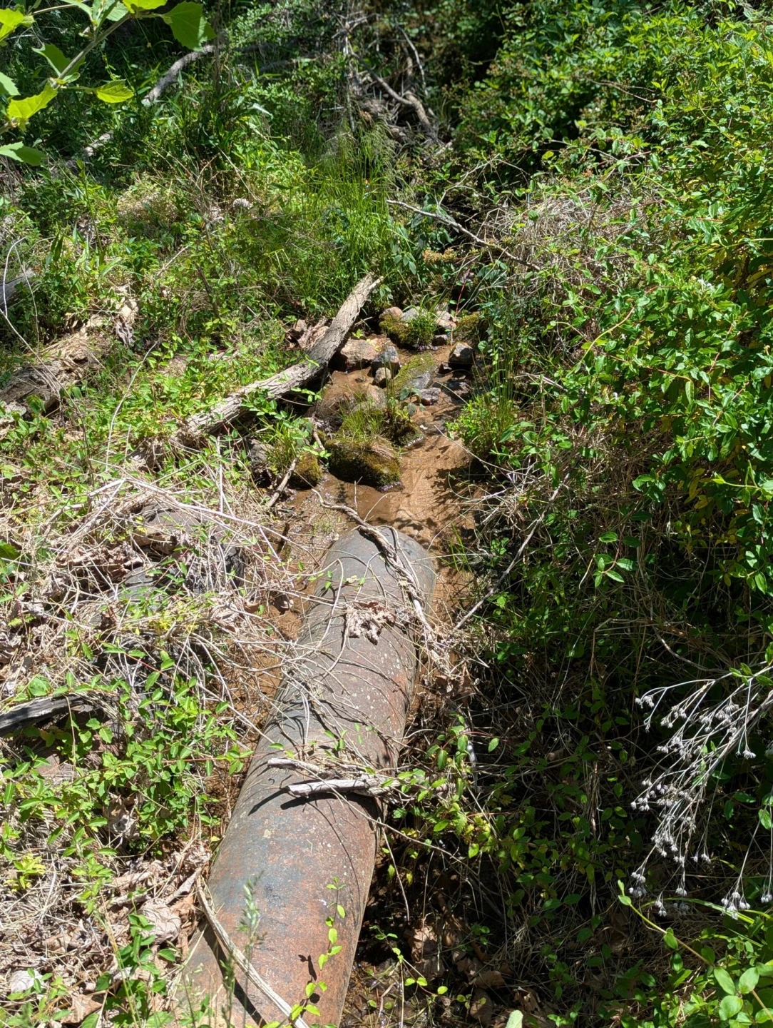 Tract A Brooks Mill RD - Photo 16