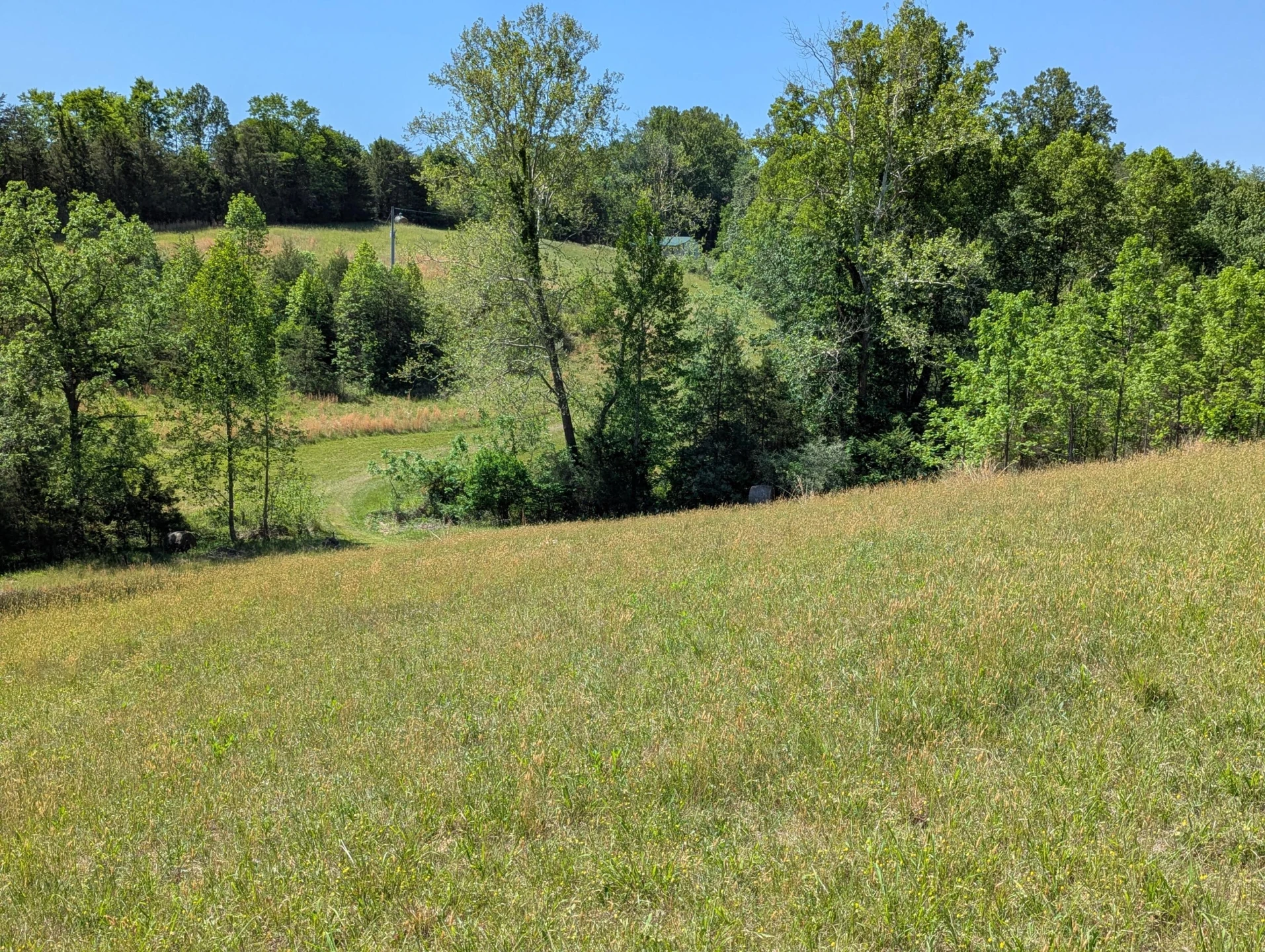 Tract A Brooks Mill RD - Photo 17