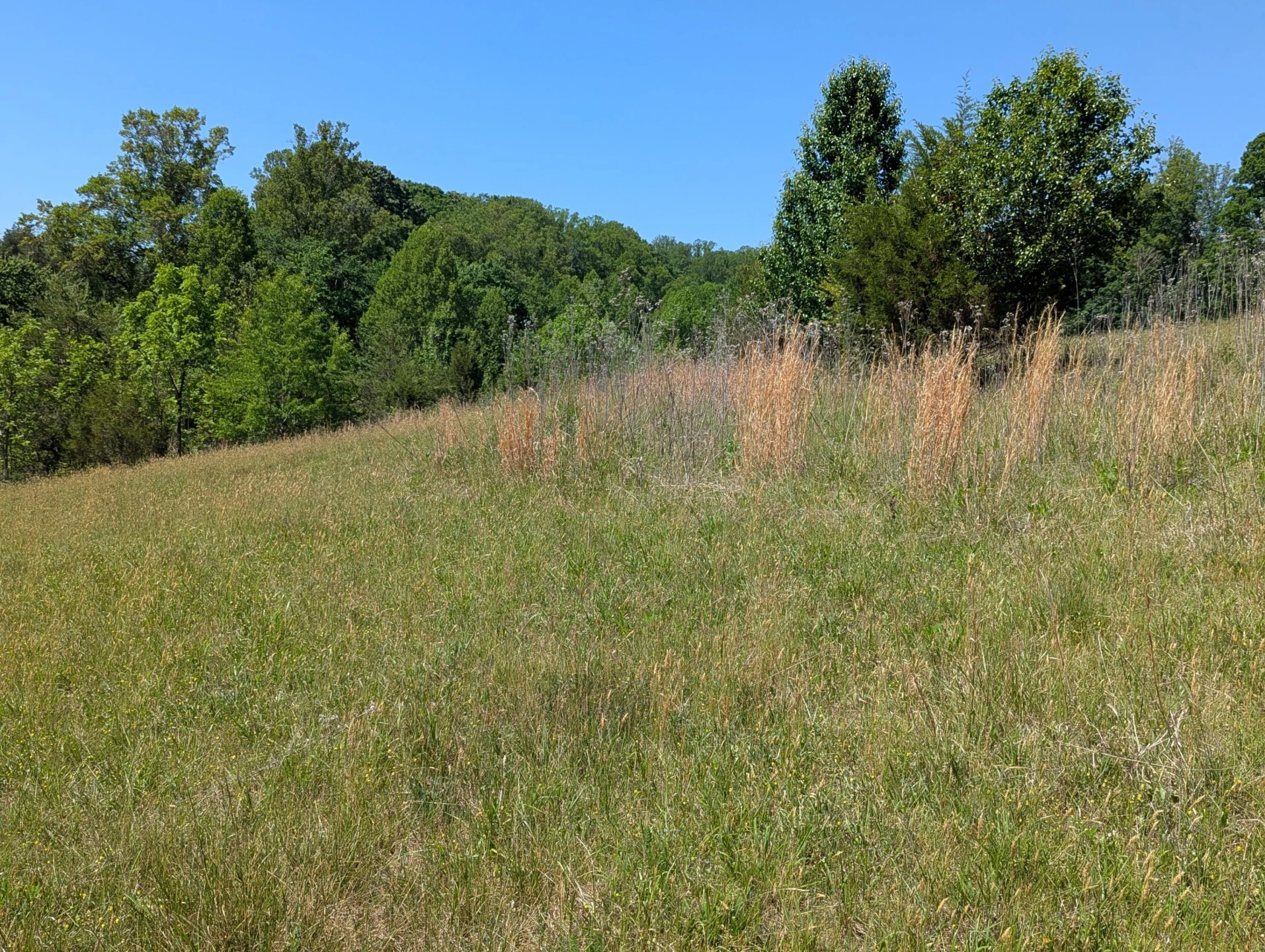 Tract A Brooks Mill RD - Photo 18