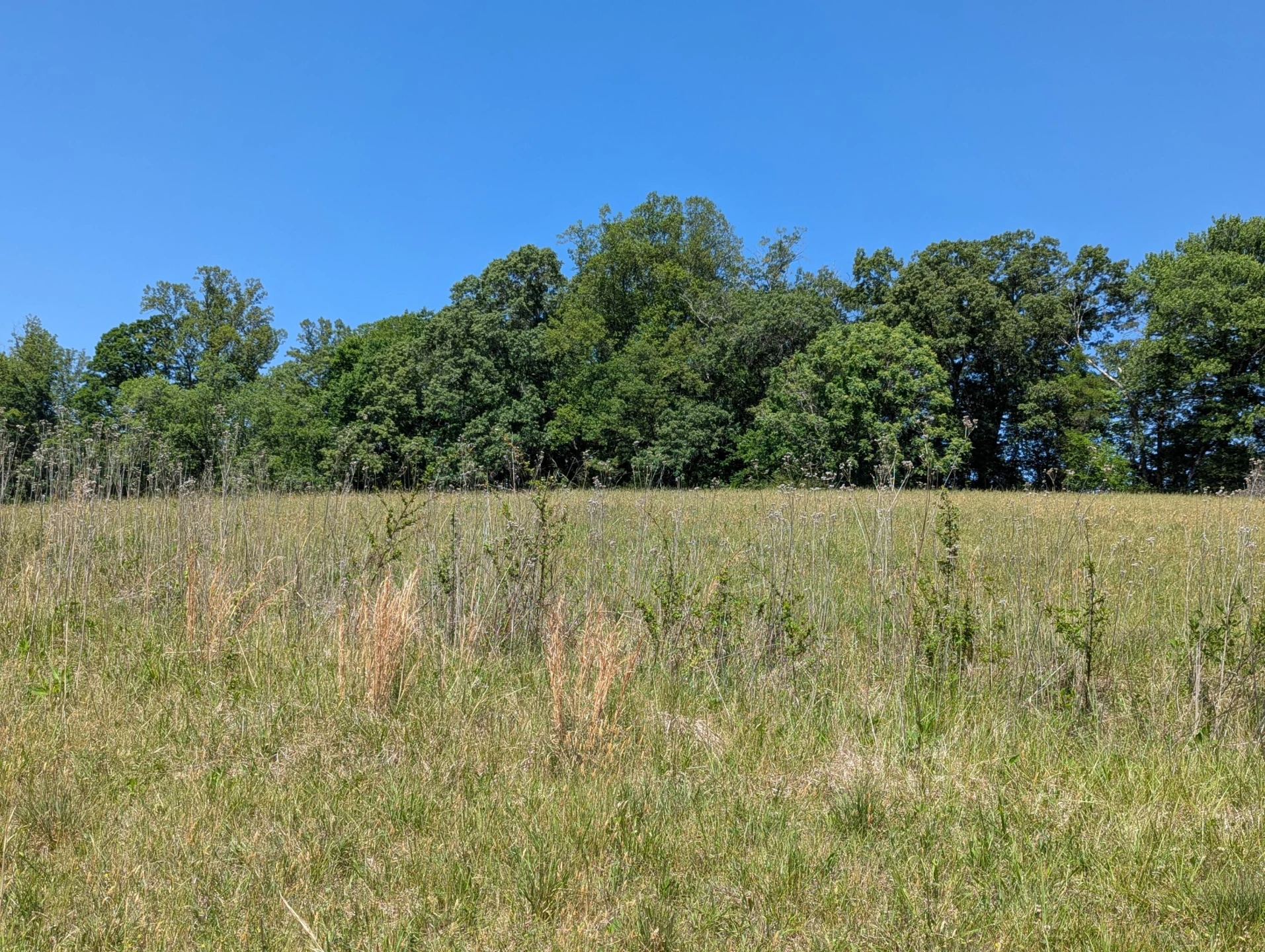 Tract A Brooks Mill RD - Photo 19