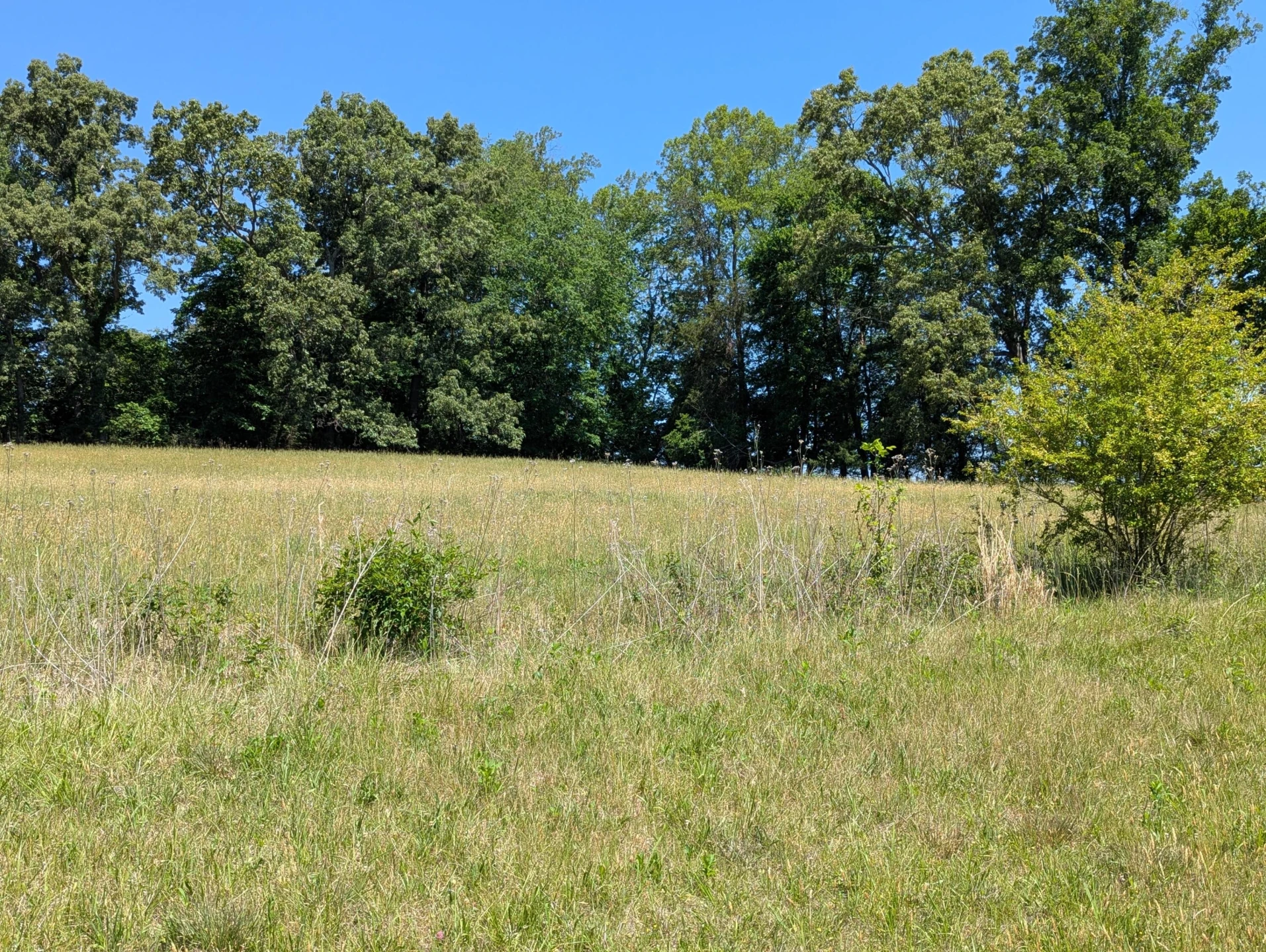 Tract A Brooks Mill RD - Photo 20