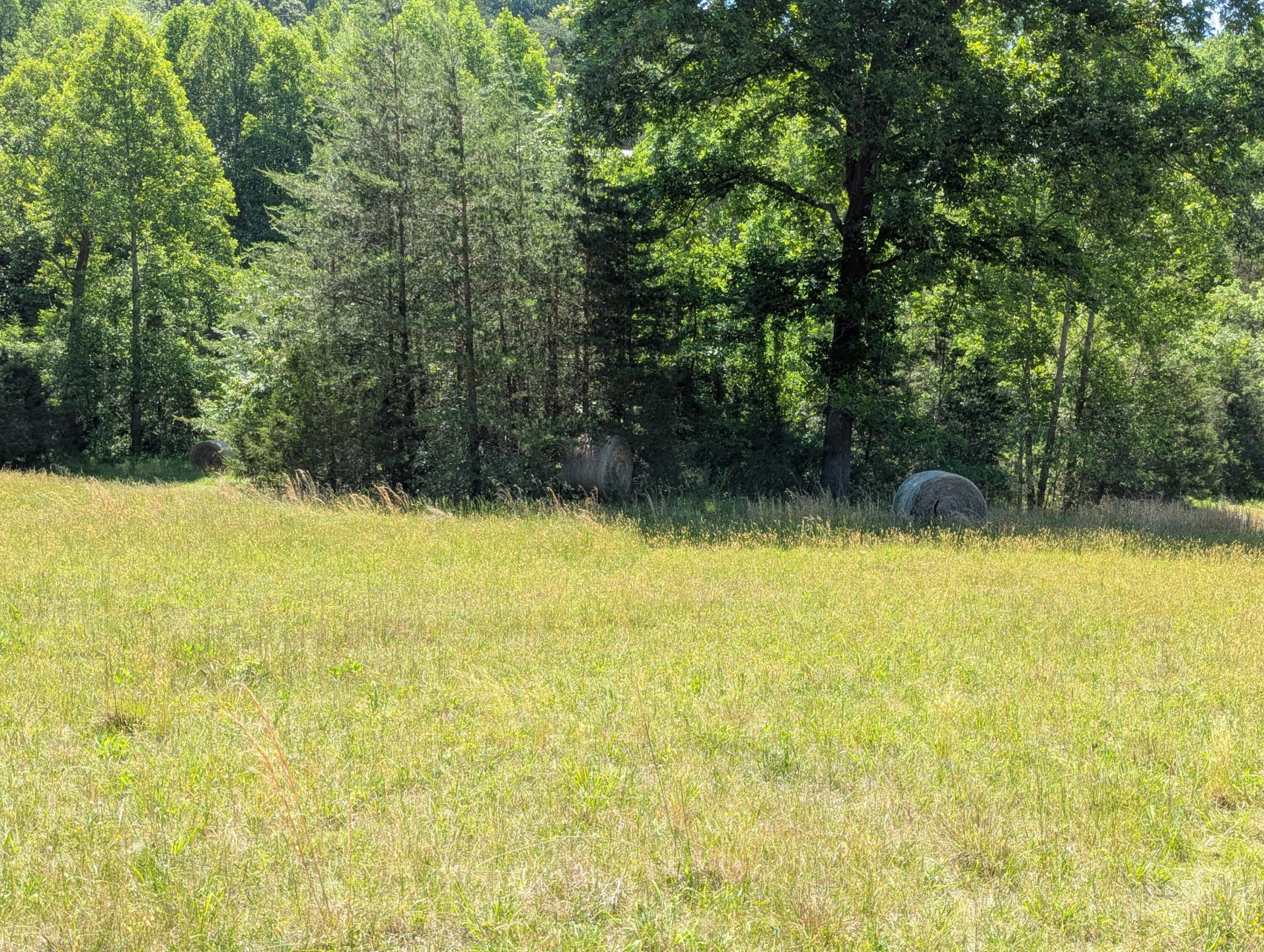 Tract A Brooks Mill RD - Photo 21