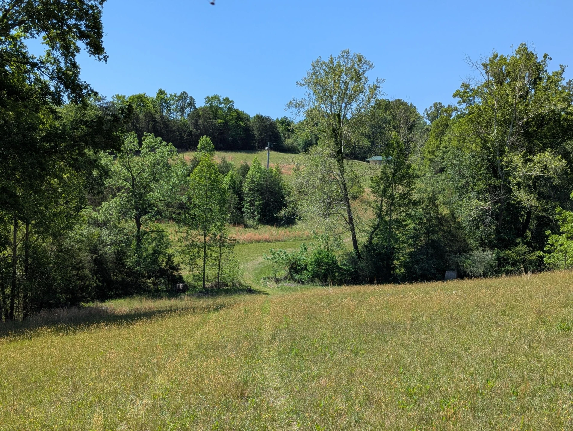 Tract A Brooks Mill RD - Photo 22