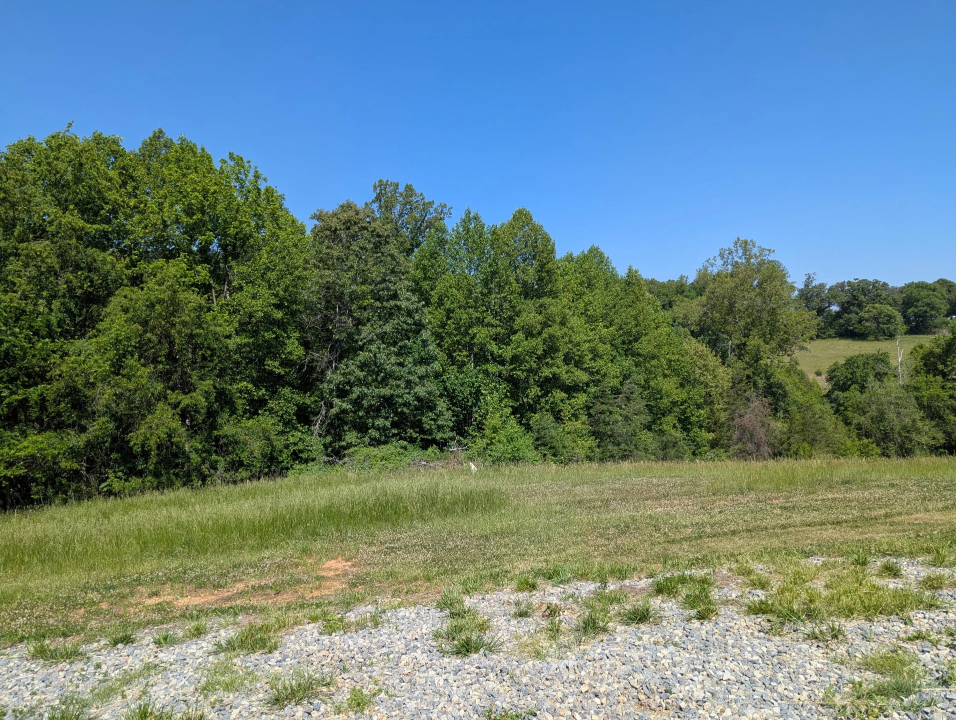 Tract A Brooks Mill RD - Photo 6