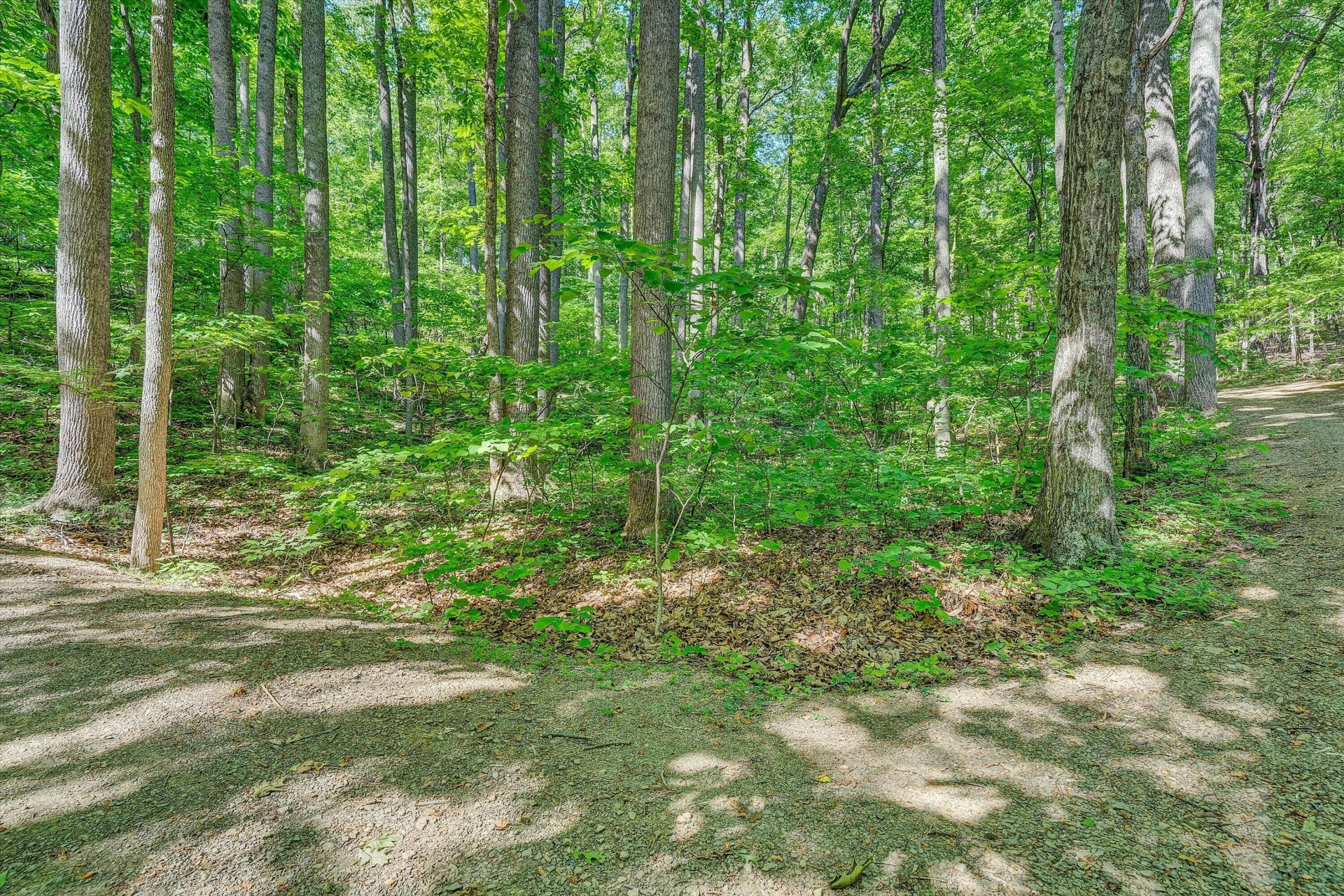 6060 Catawba Creek RD - Photo 52