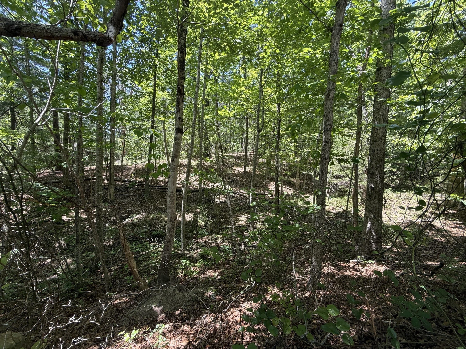 3422 Carvins Cove RD - Photo 2