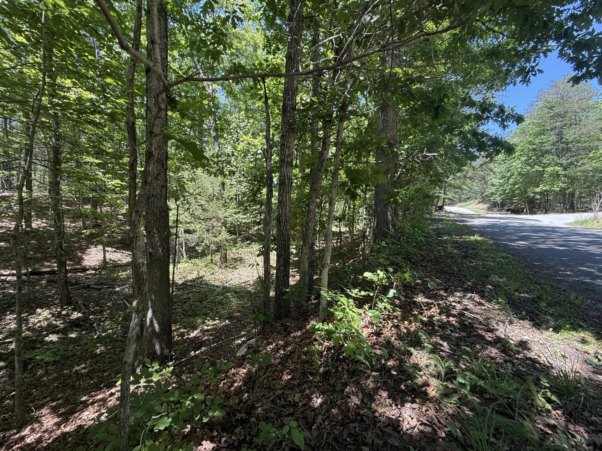 3422 Carvins Cove RD - Photo 3