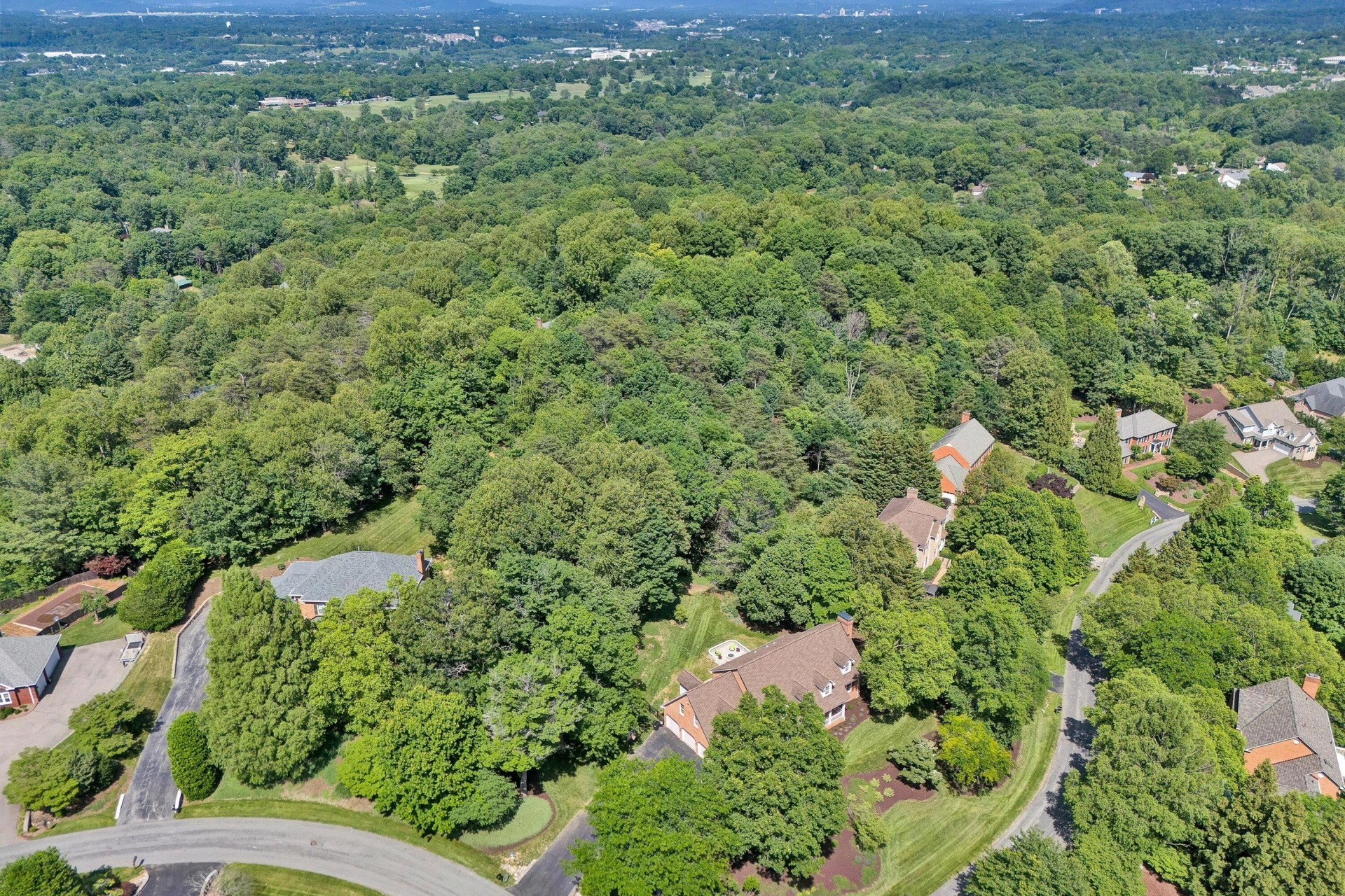 6603 Hidden Woods CT - Photo 75
