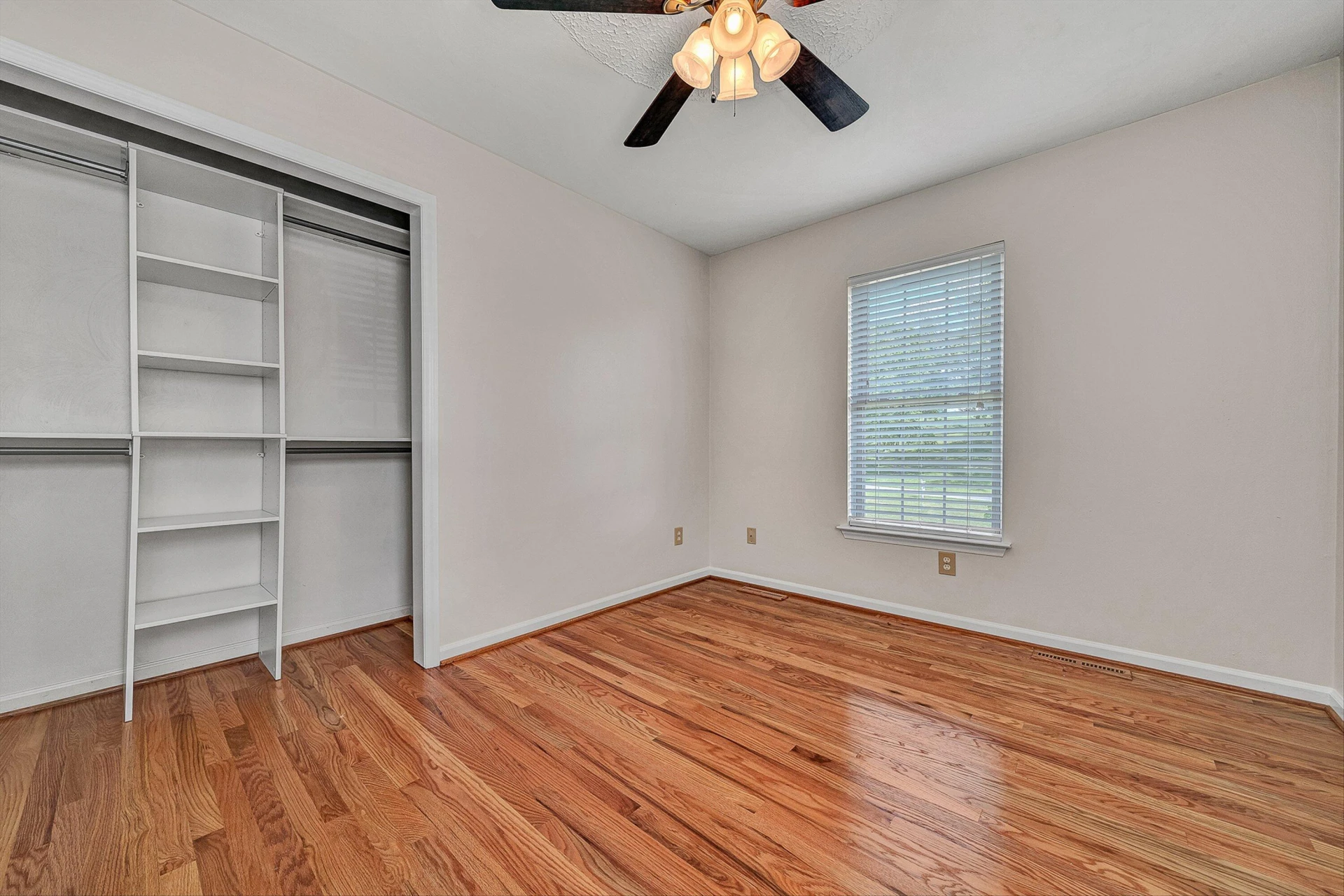 742 Pitt AVE - Photo 11