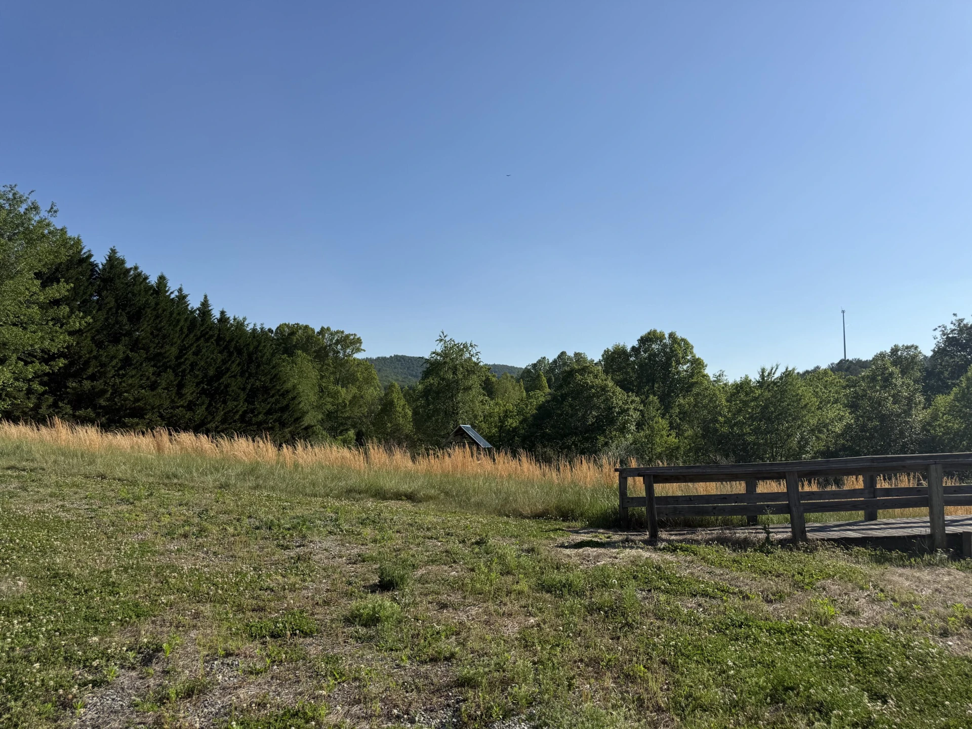 2985 Virgil H Goode - Photo 6