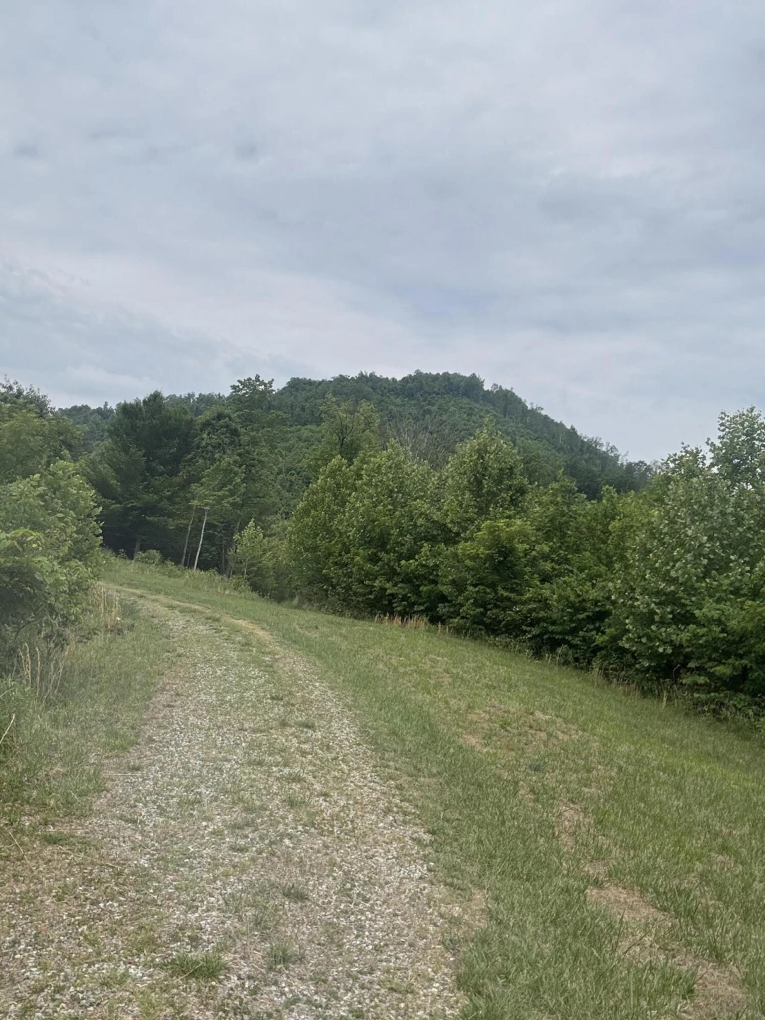 1107 Endicott Hill RD - Photo 3