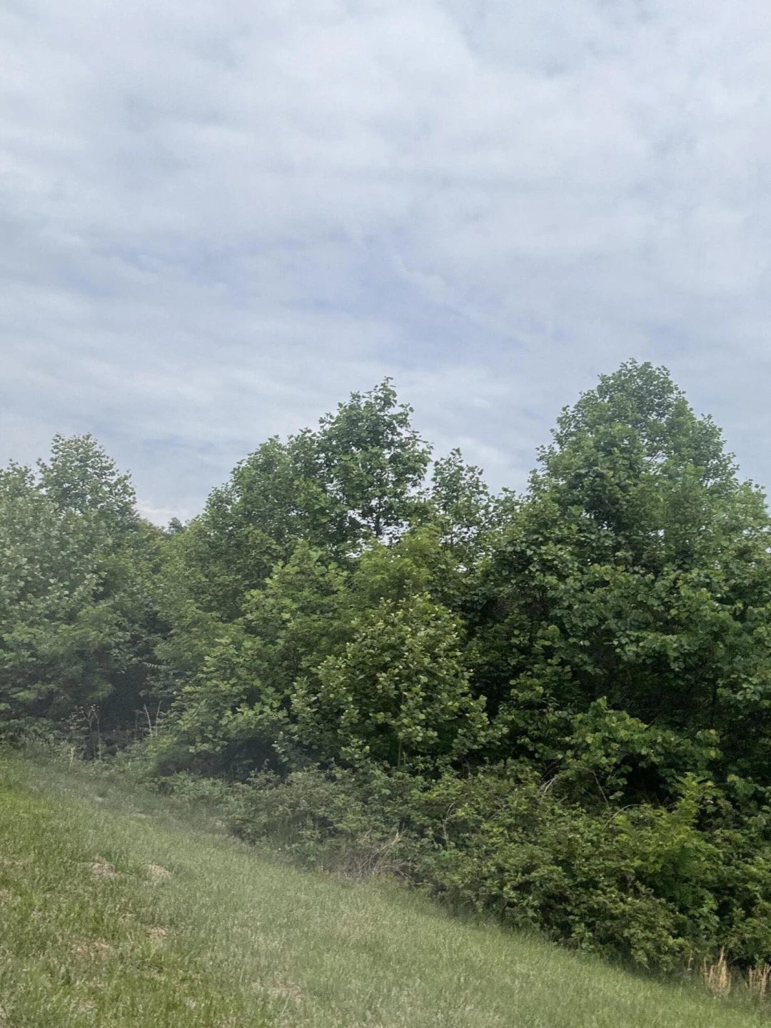 1107 Endicott Hill RD - Photo 4