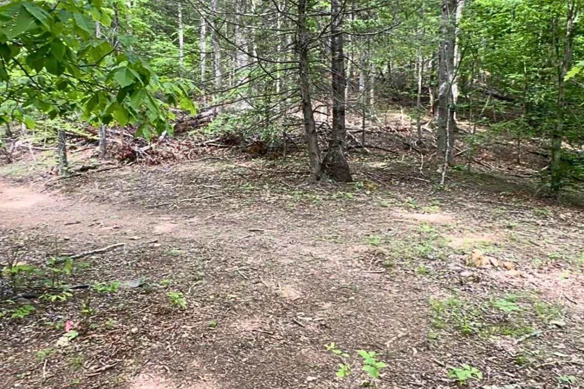 3994 Yates RD - Photo 10