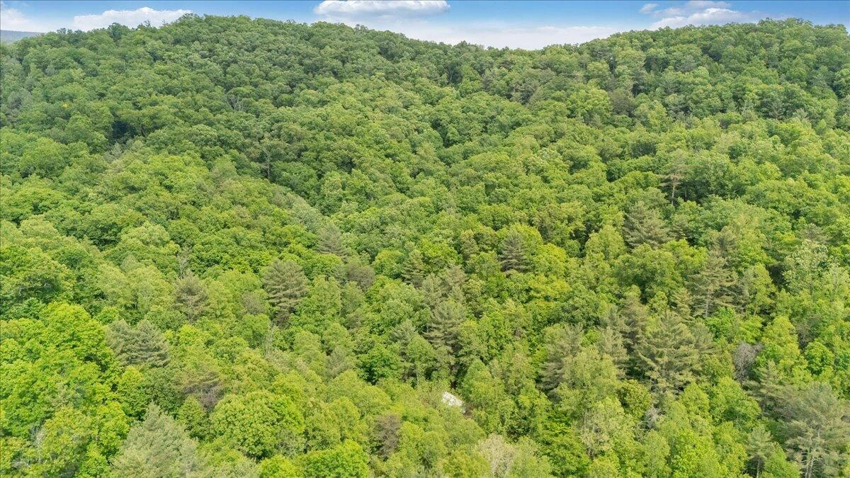 3994 Yates RD - Photo 13