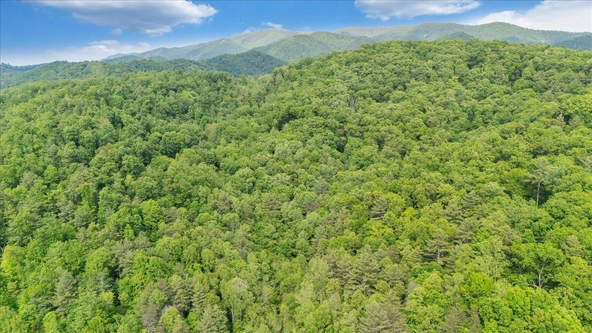 3994 Yates RD - Photo 19