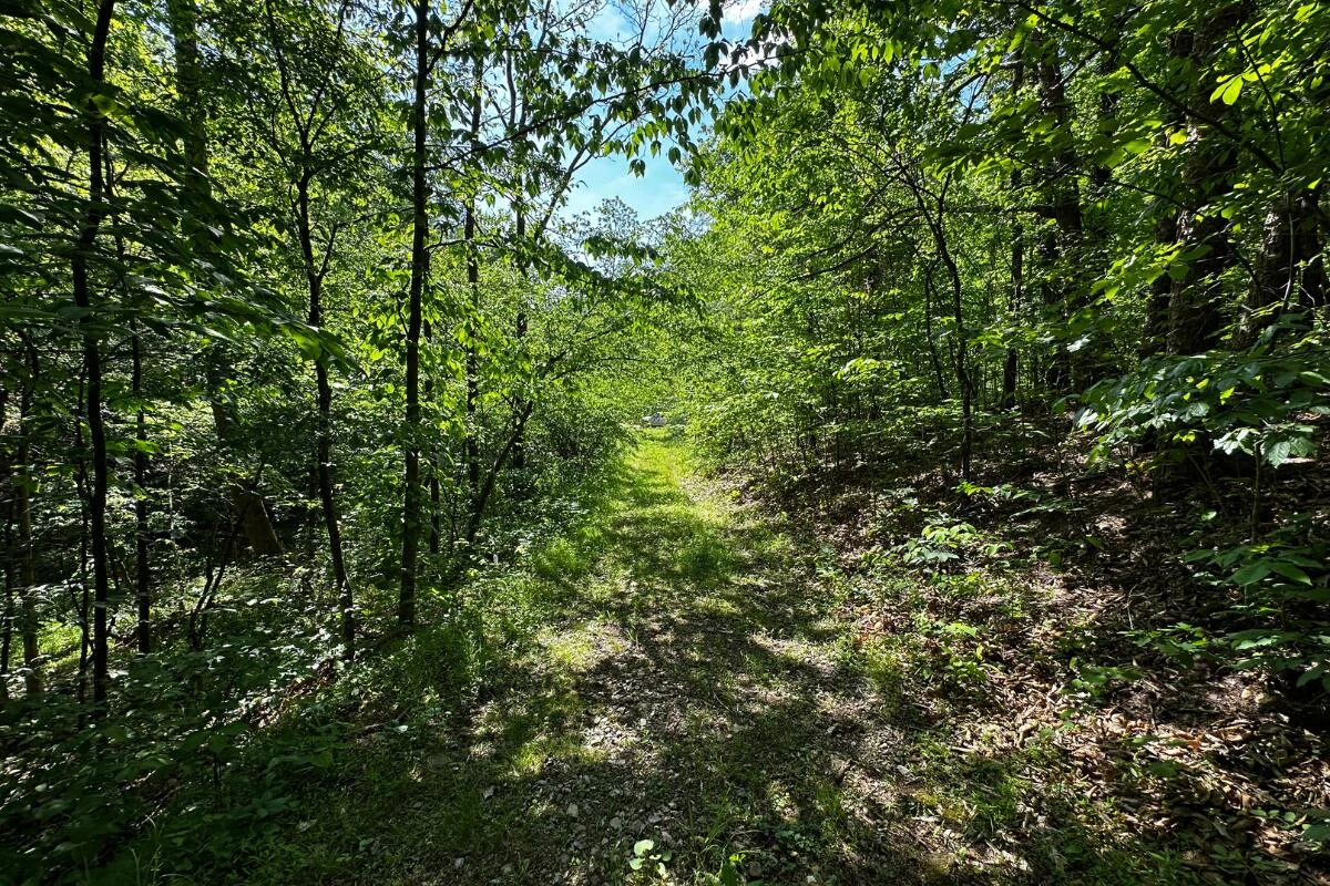 3994 Yates RD - Photo 20