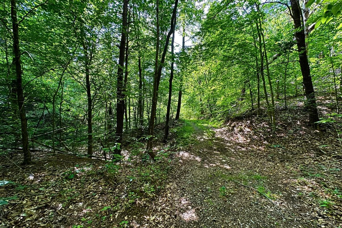3994 Yates RD - Photo 23